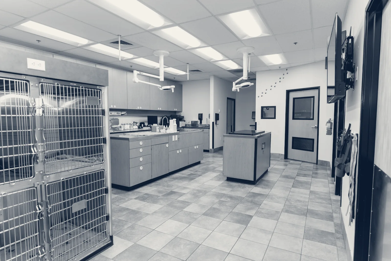 PetSmart Veterinary Services - Costa Mesa — Costa Mesa, California
