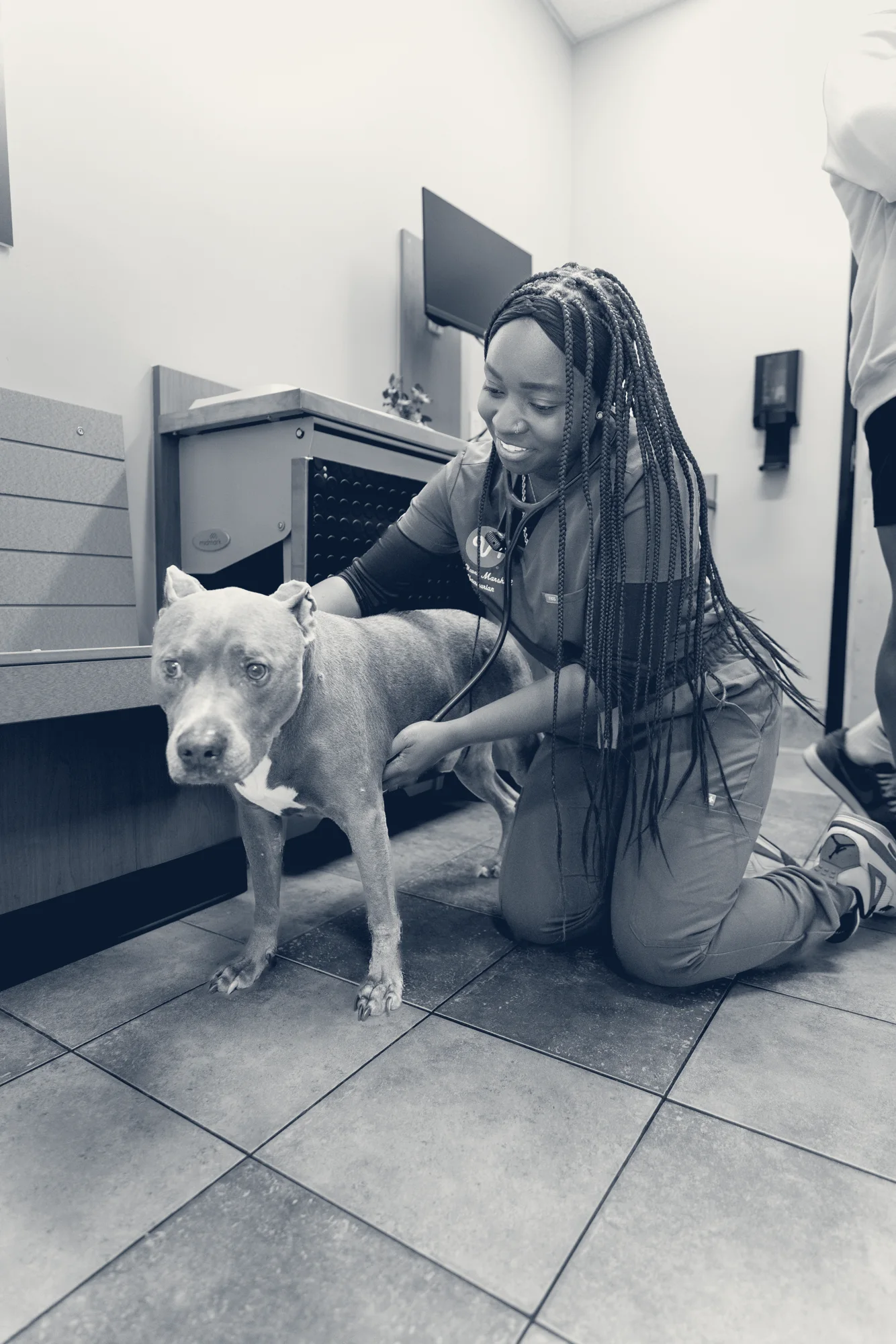 PetSmart Veterinary Services - Costa Mesa — Costa Mesa, California