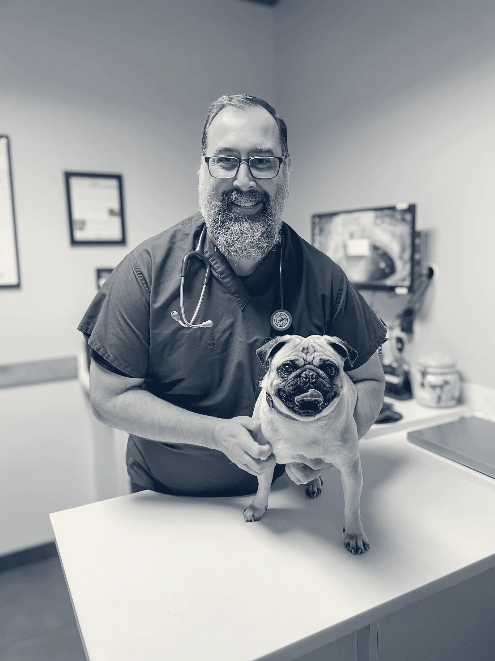Newport Harbor Animal Hospital — Costa Mesa, California