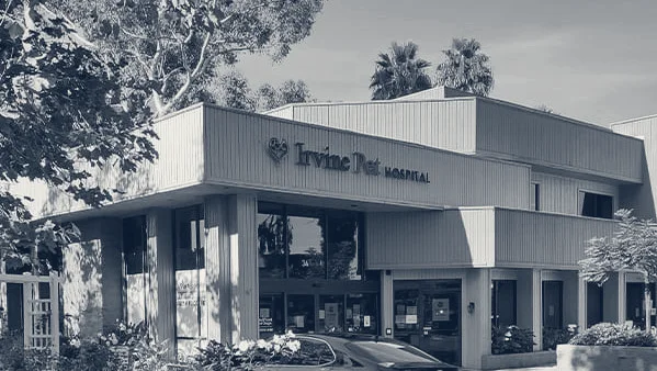 Irvine Pet Hospital — Irvine, California