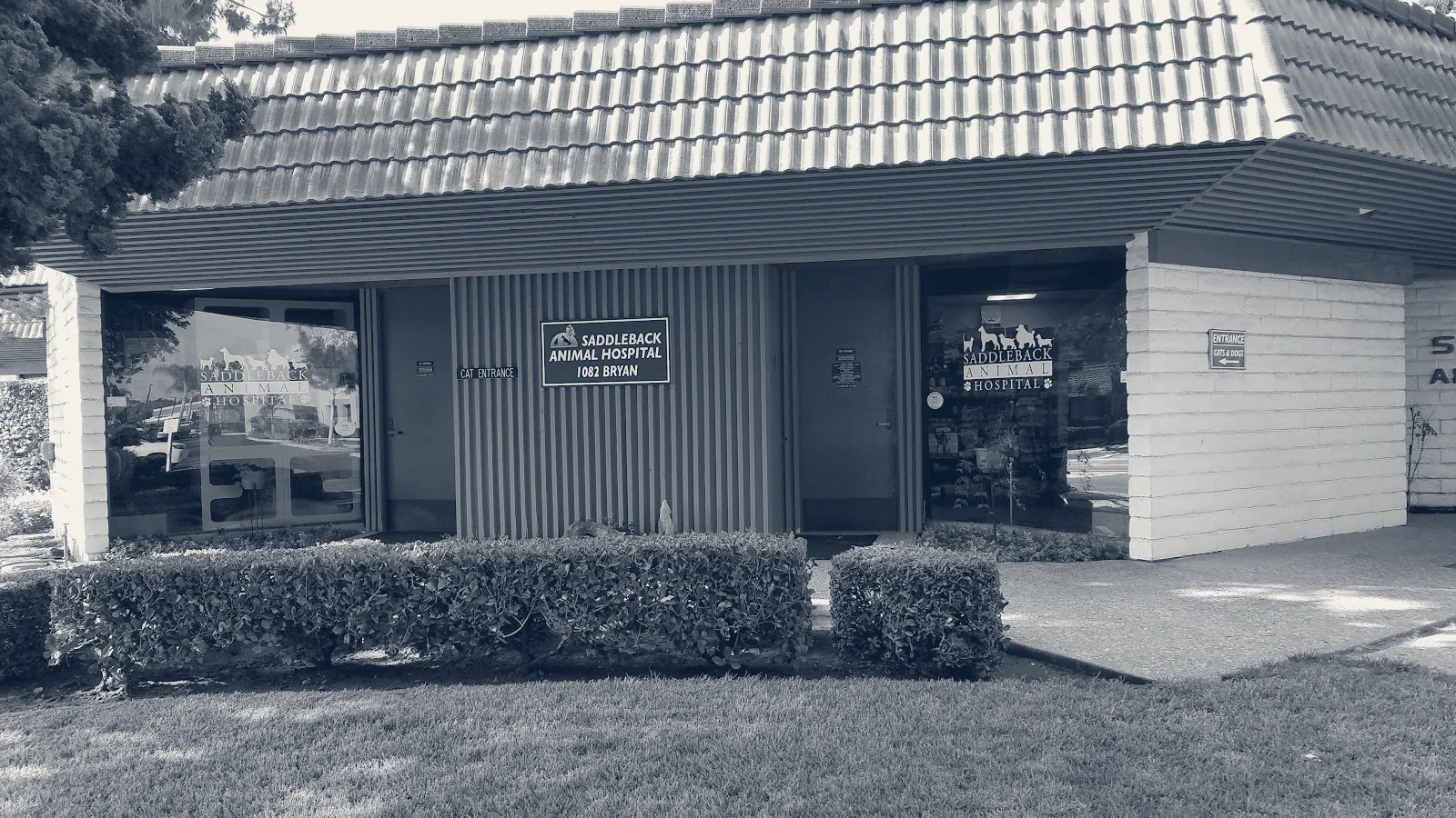 Saddleback Animal Hospital — Tustin, California
