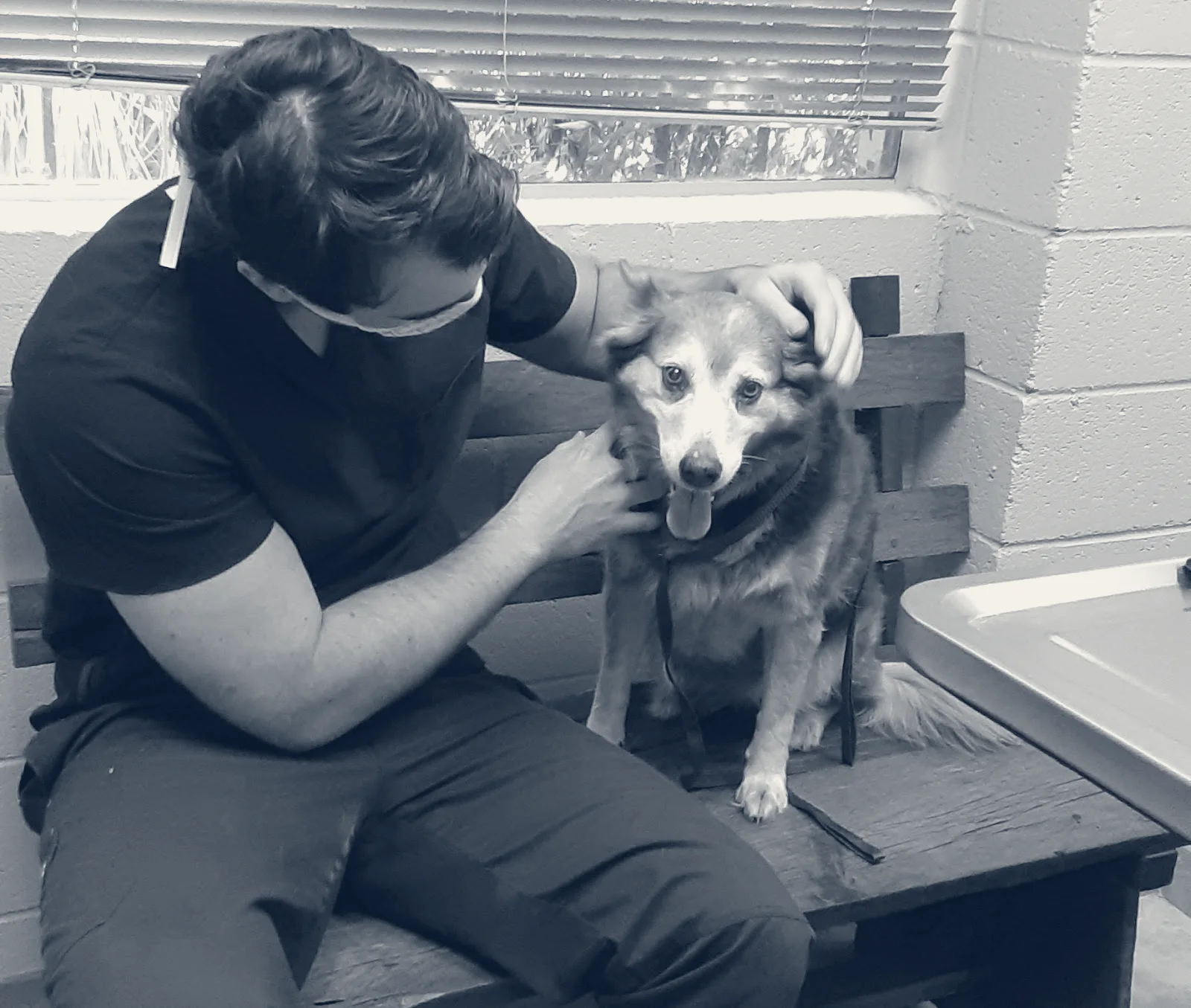 Tustana Animal Hospital — Tustin, California