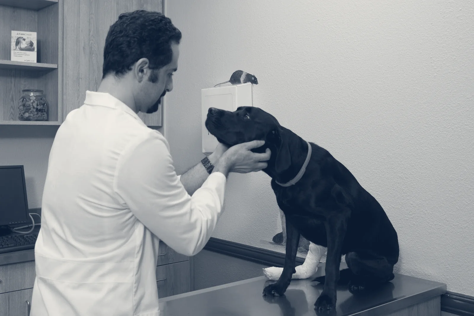 Imperial Highway Animal Clinic — Yorba Linda, California