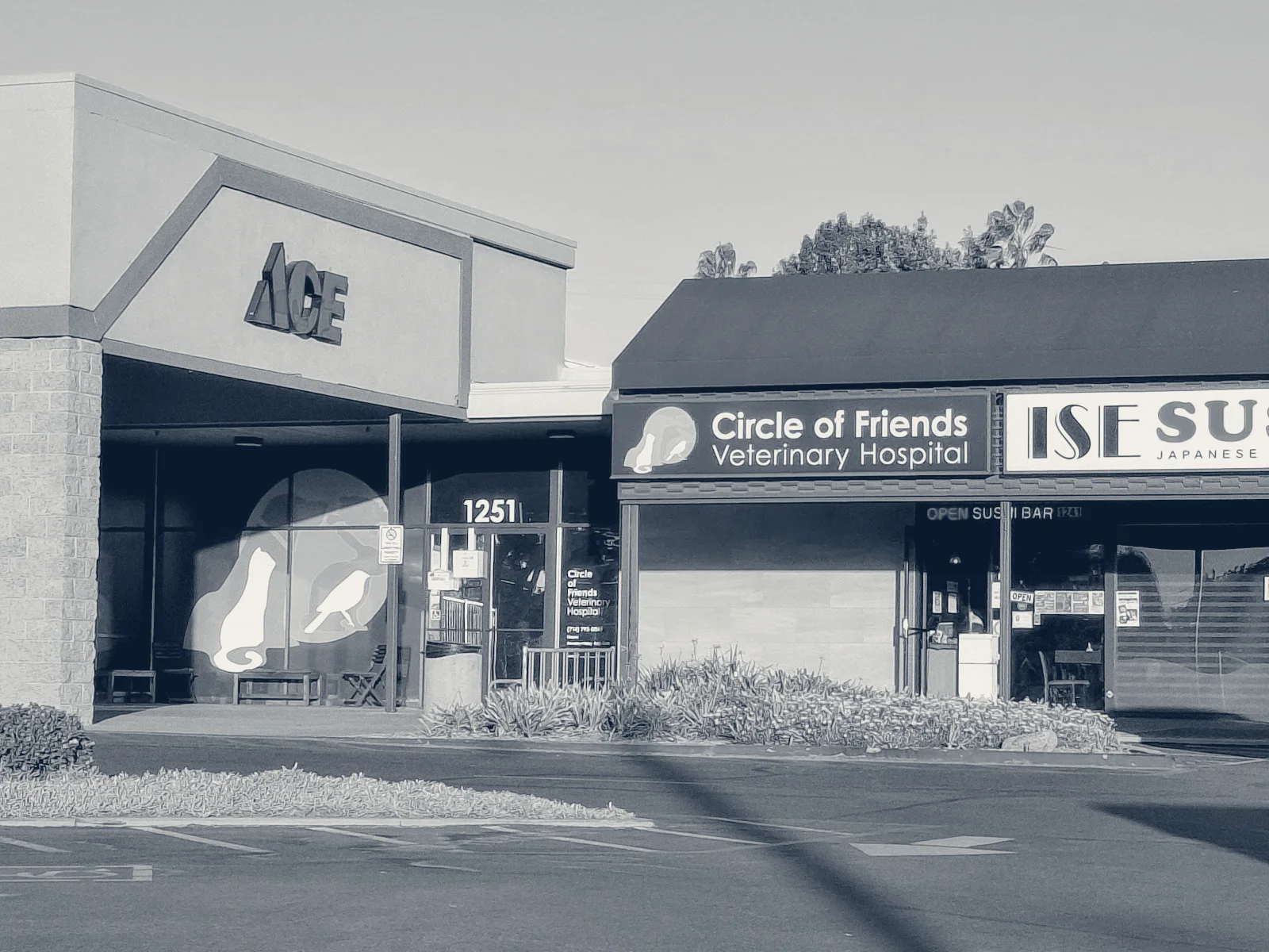 Circle of Friends Veterinary — Placentia, California