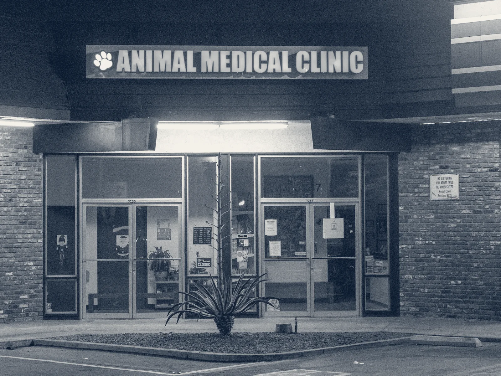 Animal Medical Clinic — Fullerton, California