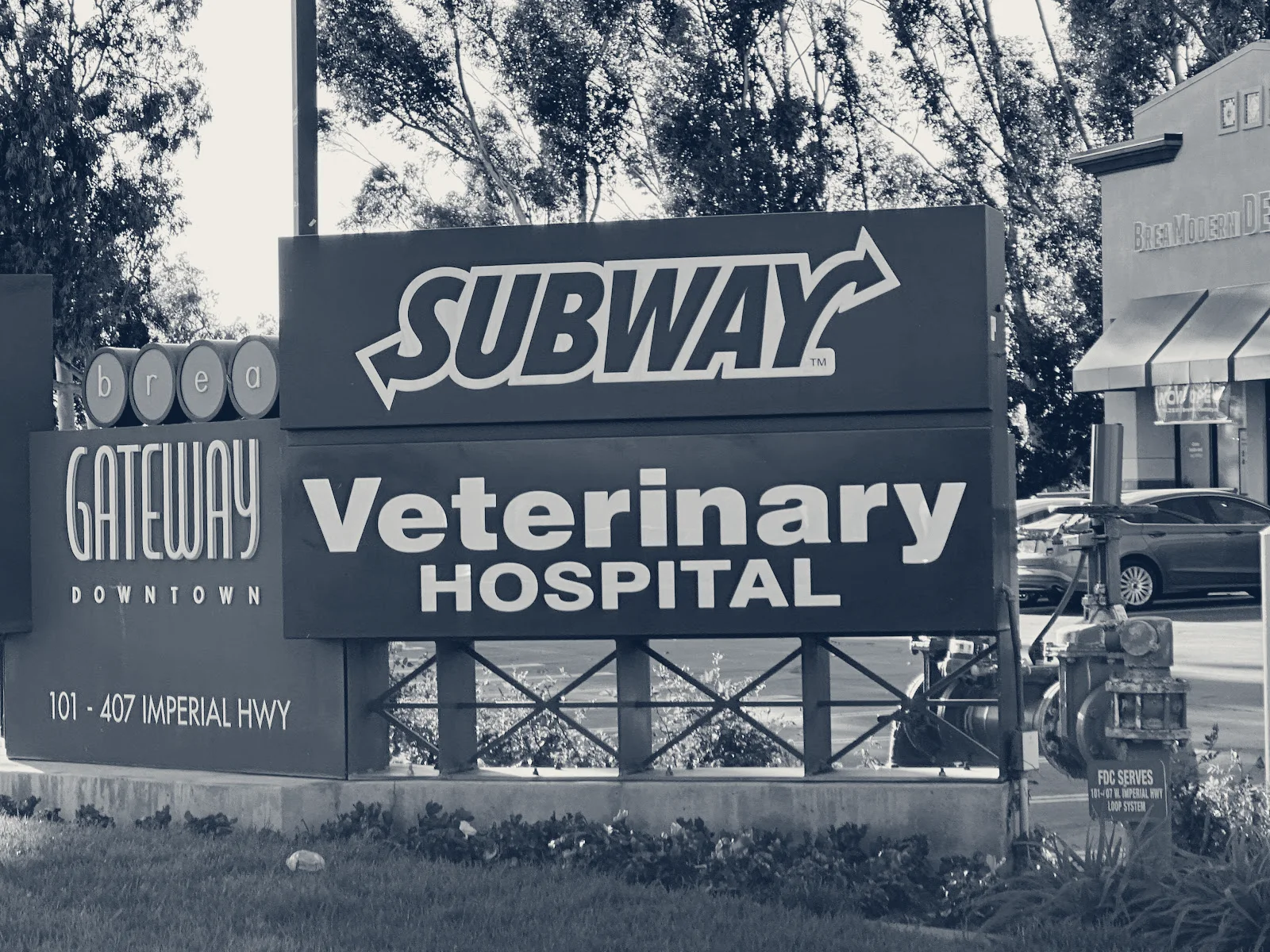 Aloha Veterinary Hospital — Brea, California