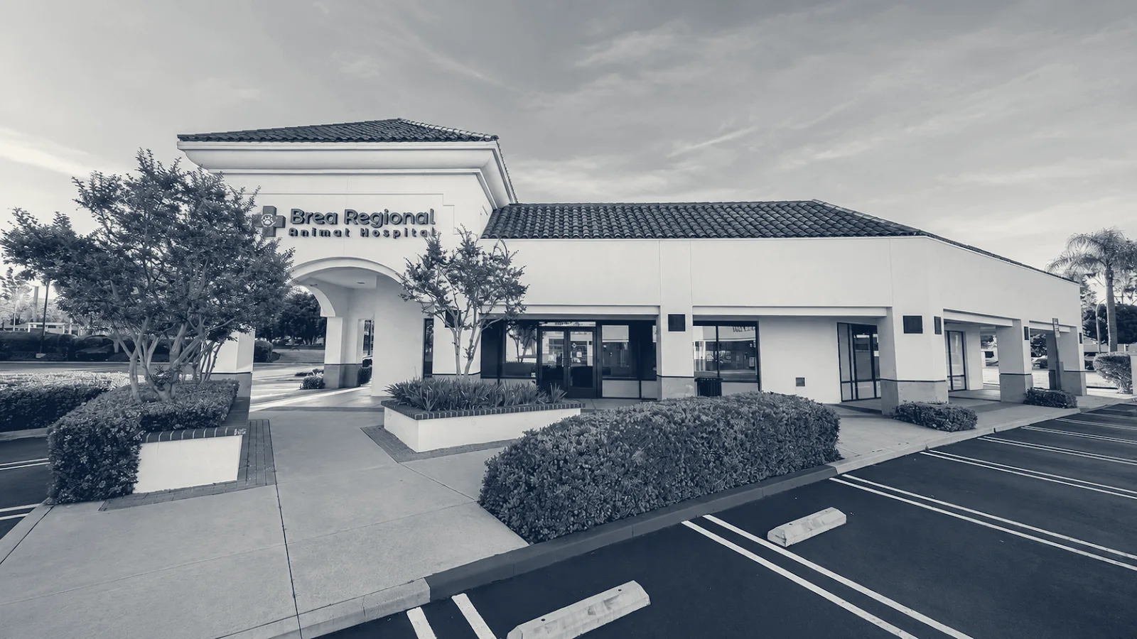 Brea Regional Animal Hospital — Brea, California