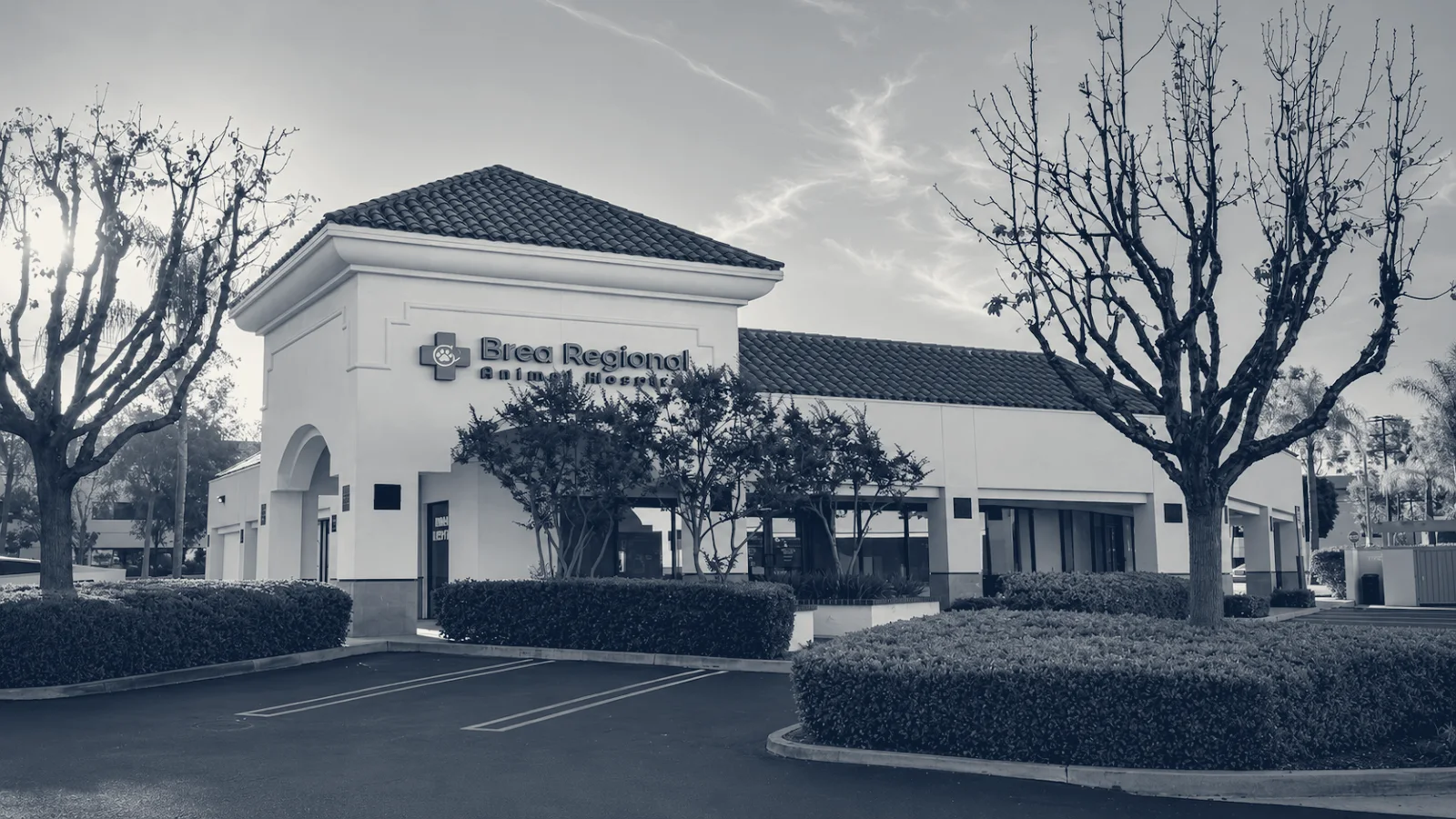 Brea Regional Animal Hospital — Brea, California