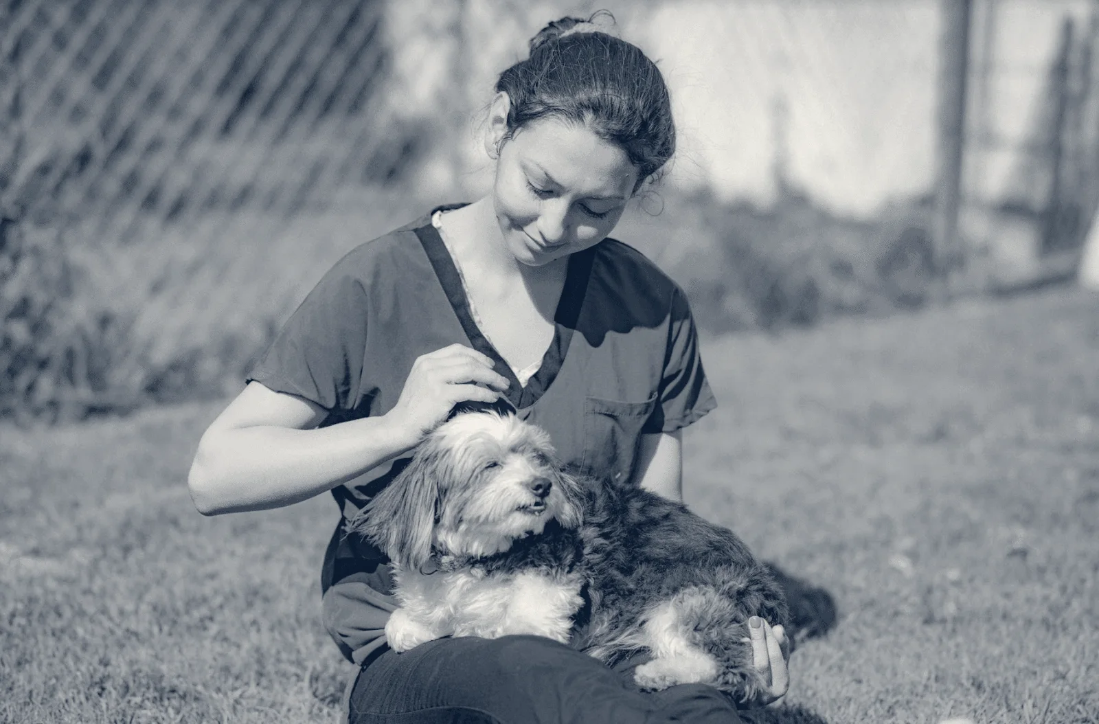 Huntington Beach Veterinary Hospital — Huntington Beach, California