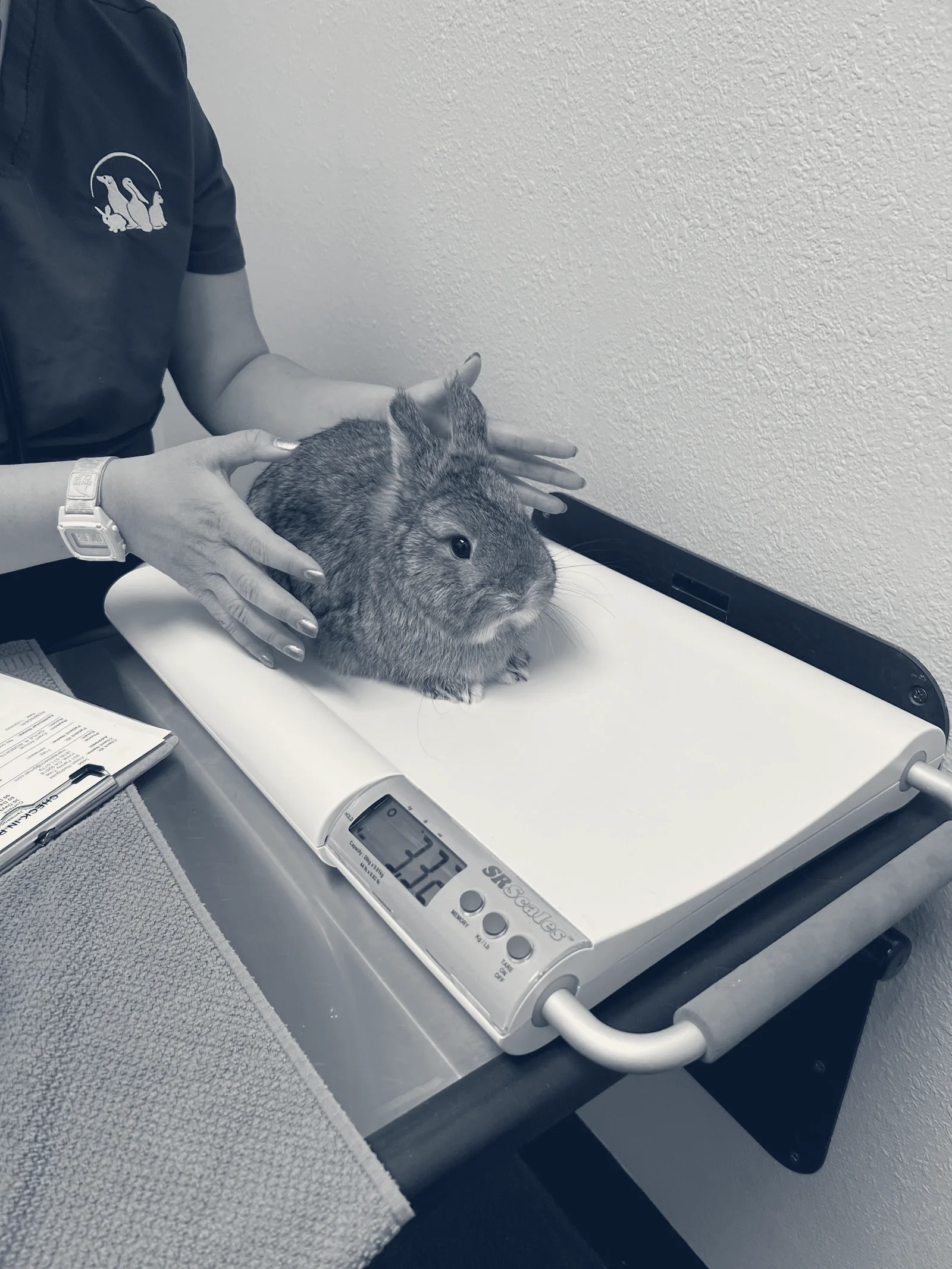 Northwood Animal Hospital — Irvine, California