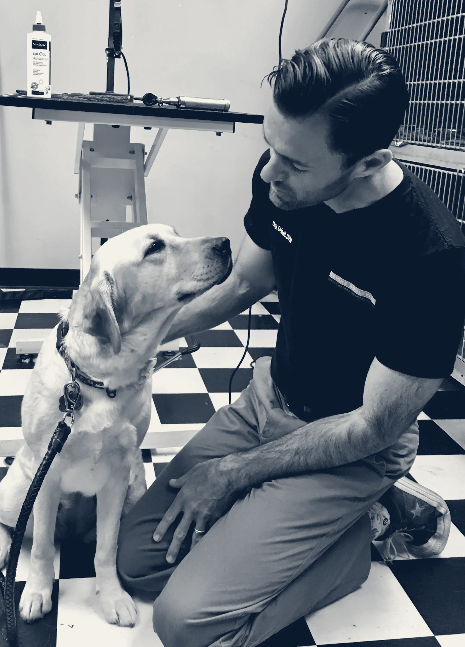 VCA Tustin Animal Hospital — Tustin, California