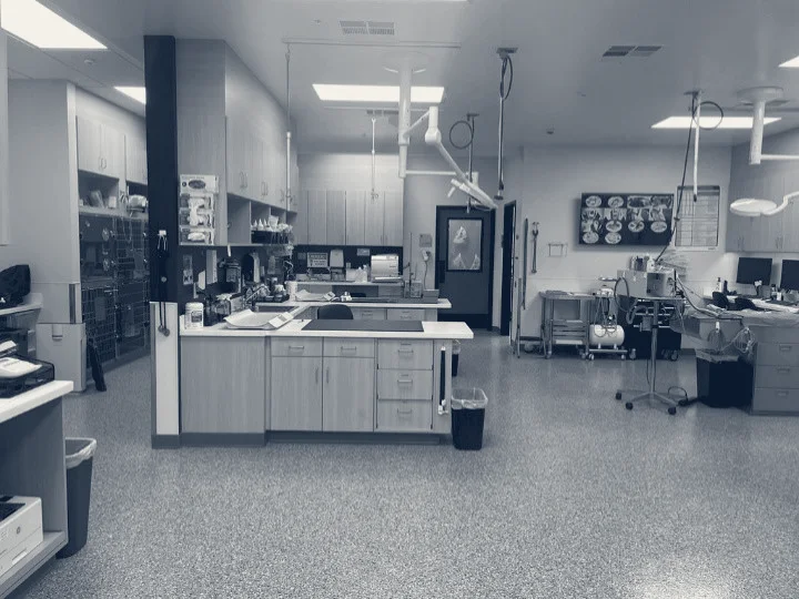 VCA Tustin Animal Hospital — Tustin, California