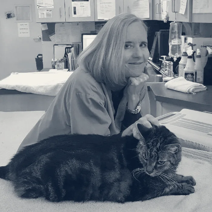 Animal Hospital of Irvine — Irvine, California