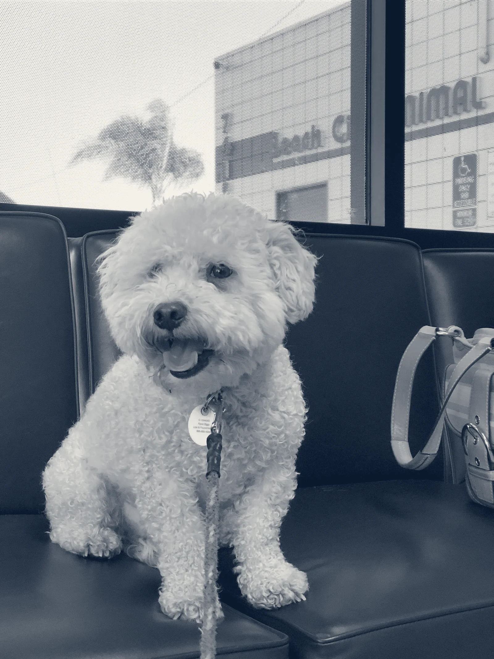 Beach City Animal Hospital — Huntington Beach, California