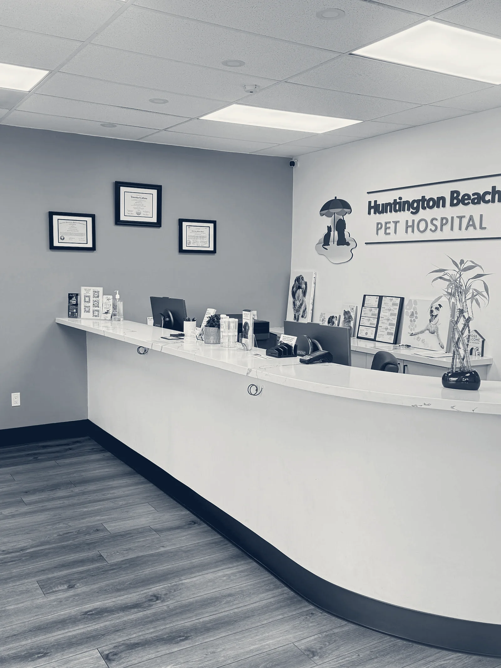 Huntington Beach Pet Hospital — Huntington Beach, California