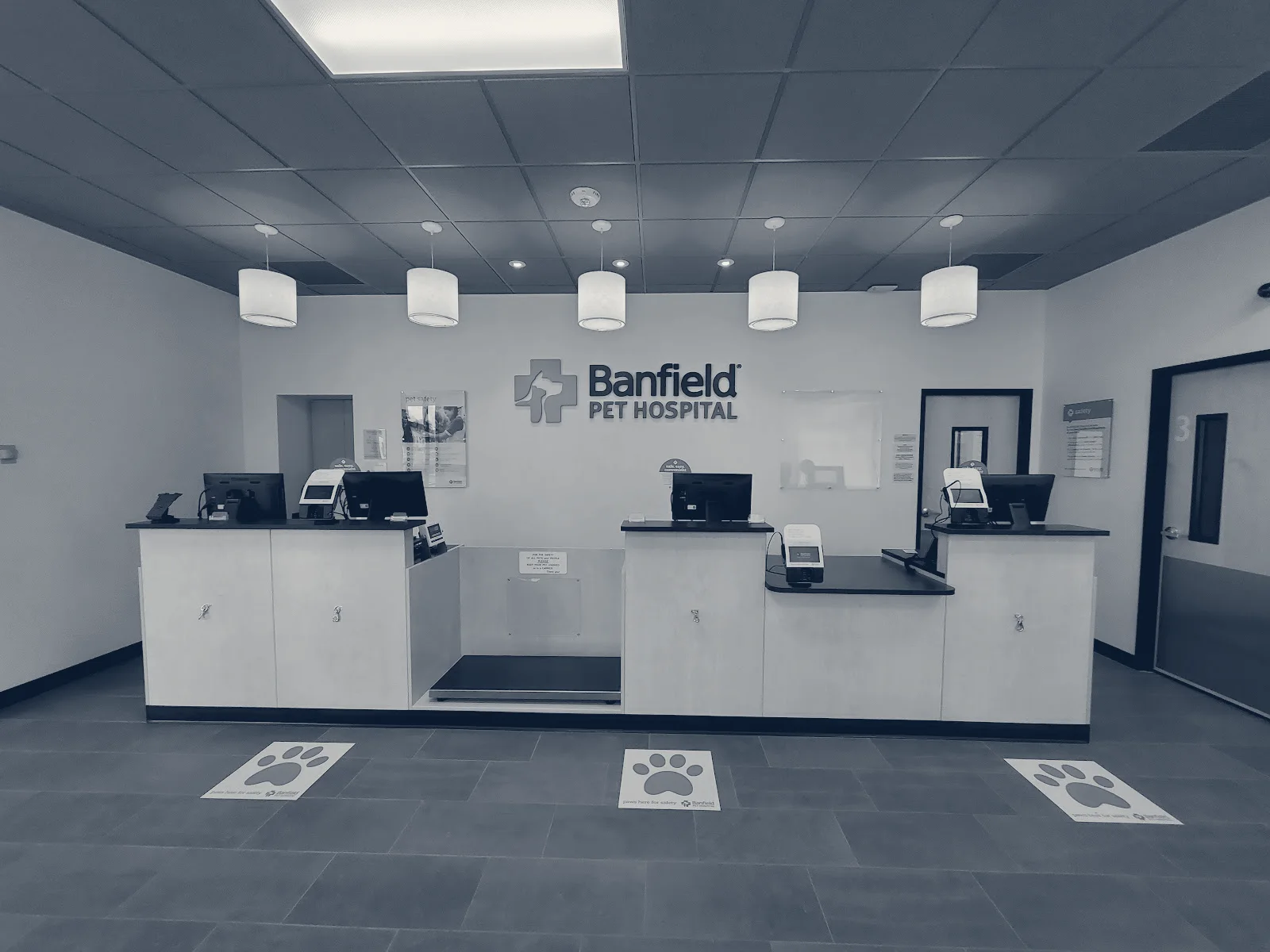 Banfield Pet Hospital — Whittier, California