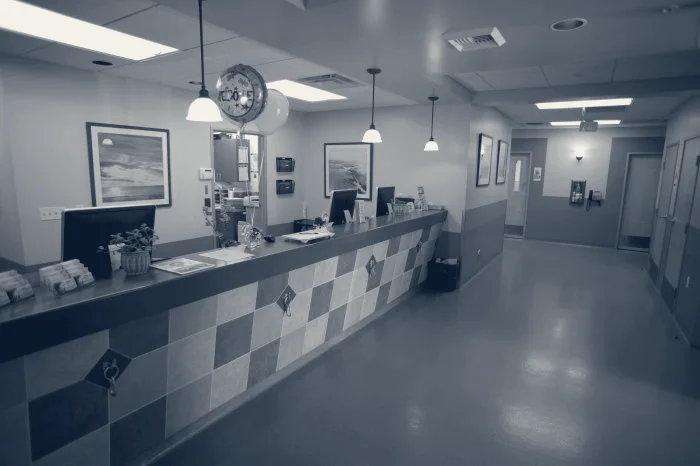 VCA Lakewood Animal Hospital — Cerritos, California