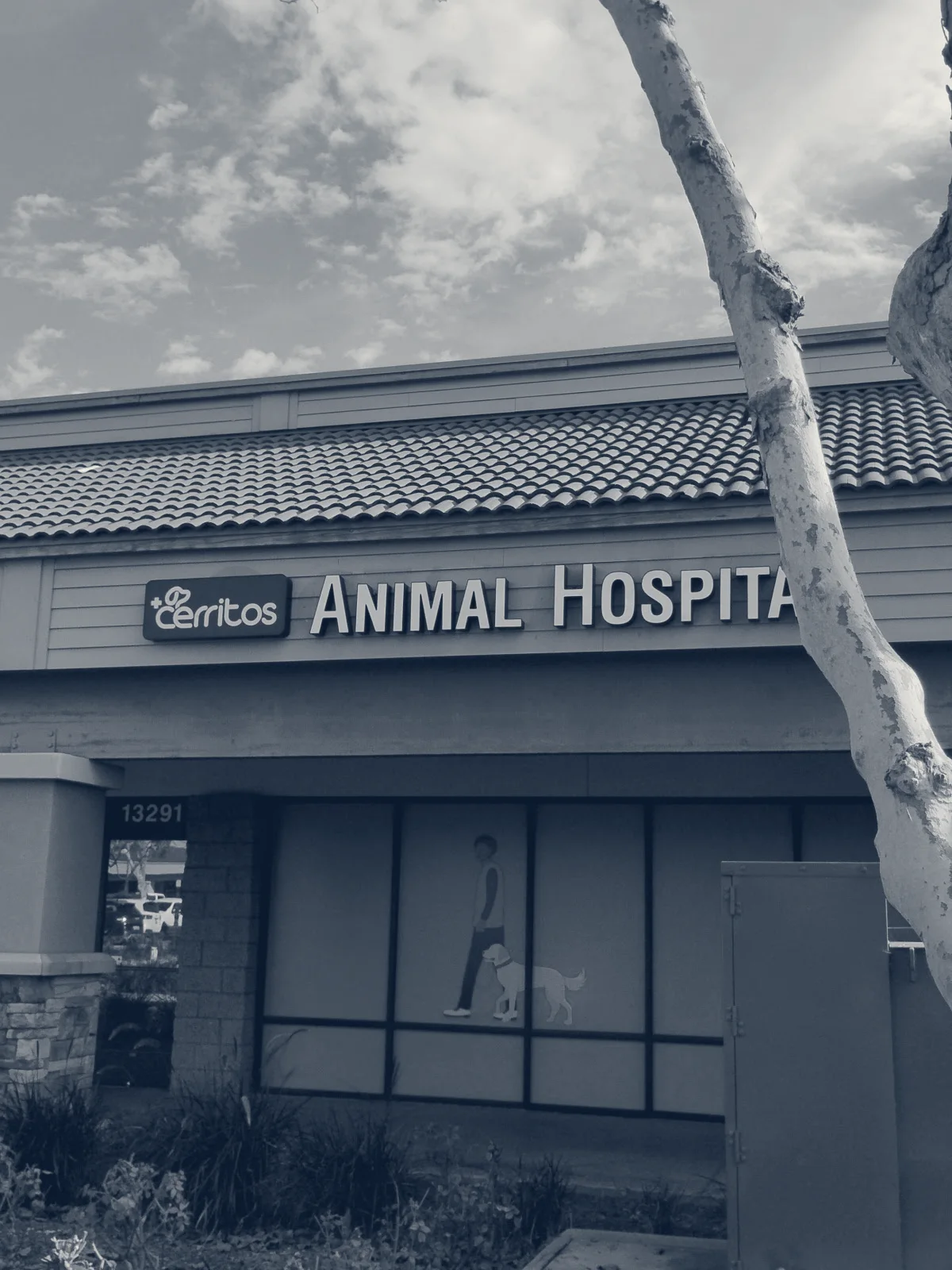 Cerritos Animal Hospital — Cerritos, California