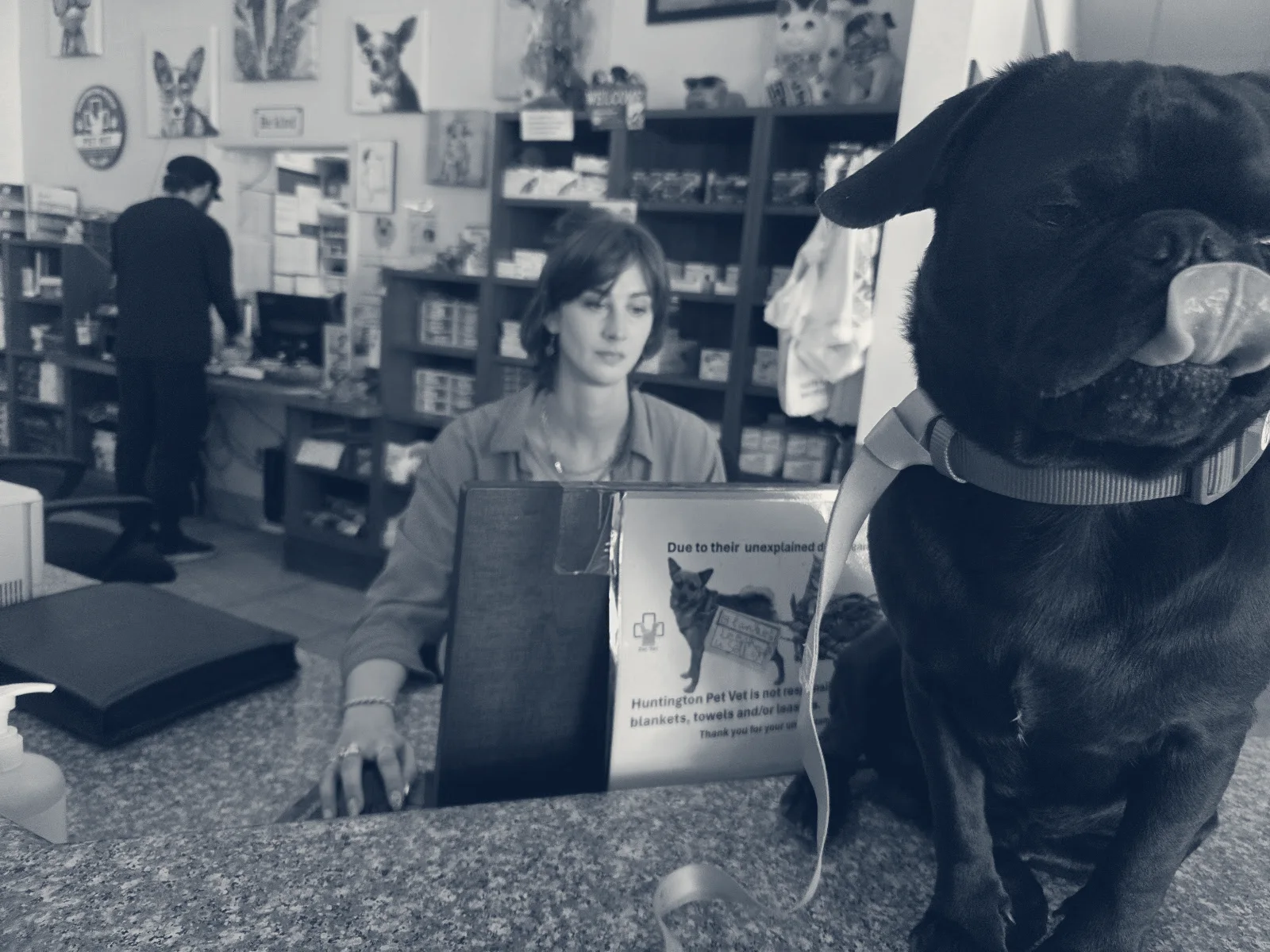 Huntington Pet Vet — Huntington Beach, California