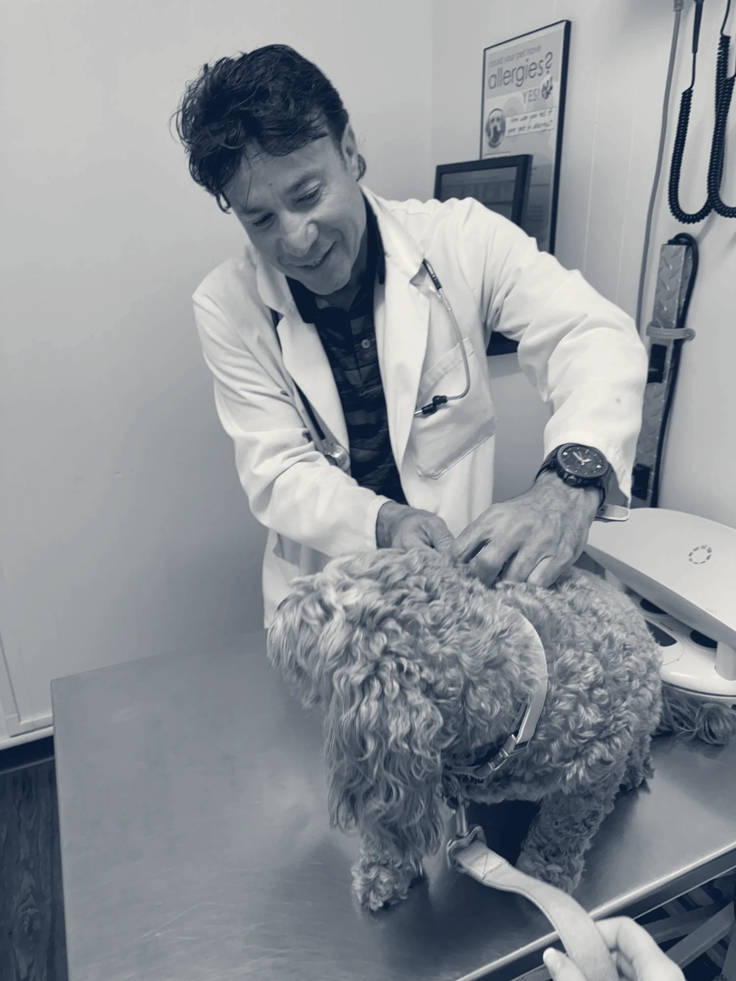 Beach Garfield Veterinary Hospital — Huntington Beach, California