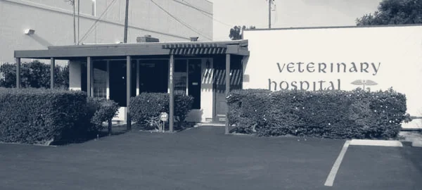 Beach Garfield Veterinary Hospital — Huntington Beach, California