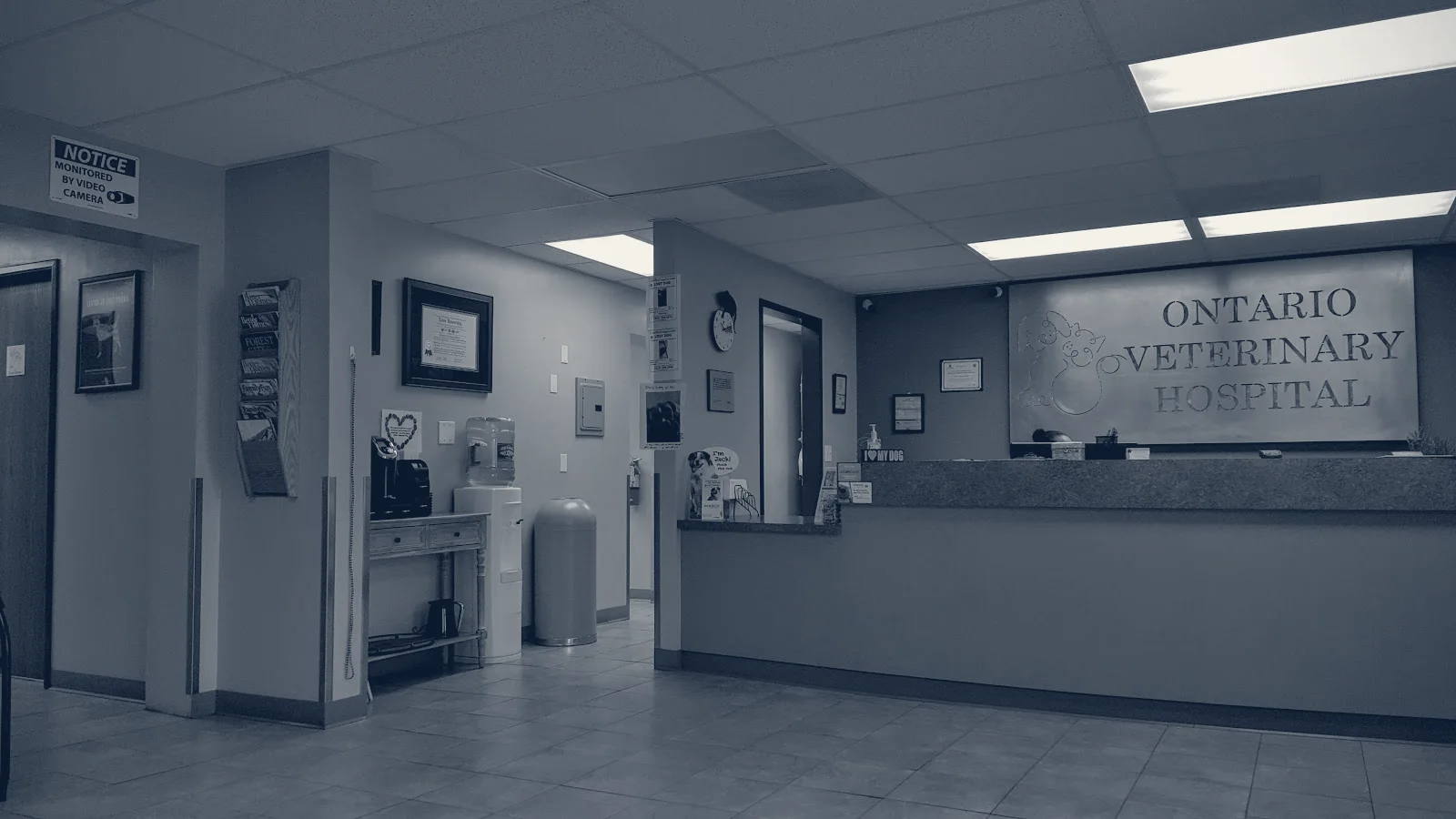 Ontario Veterinary Hospital — Ontario, California