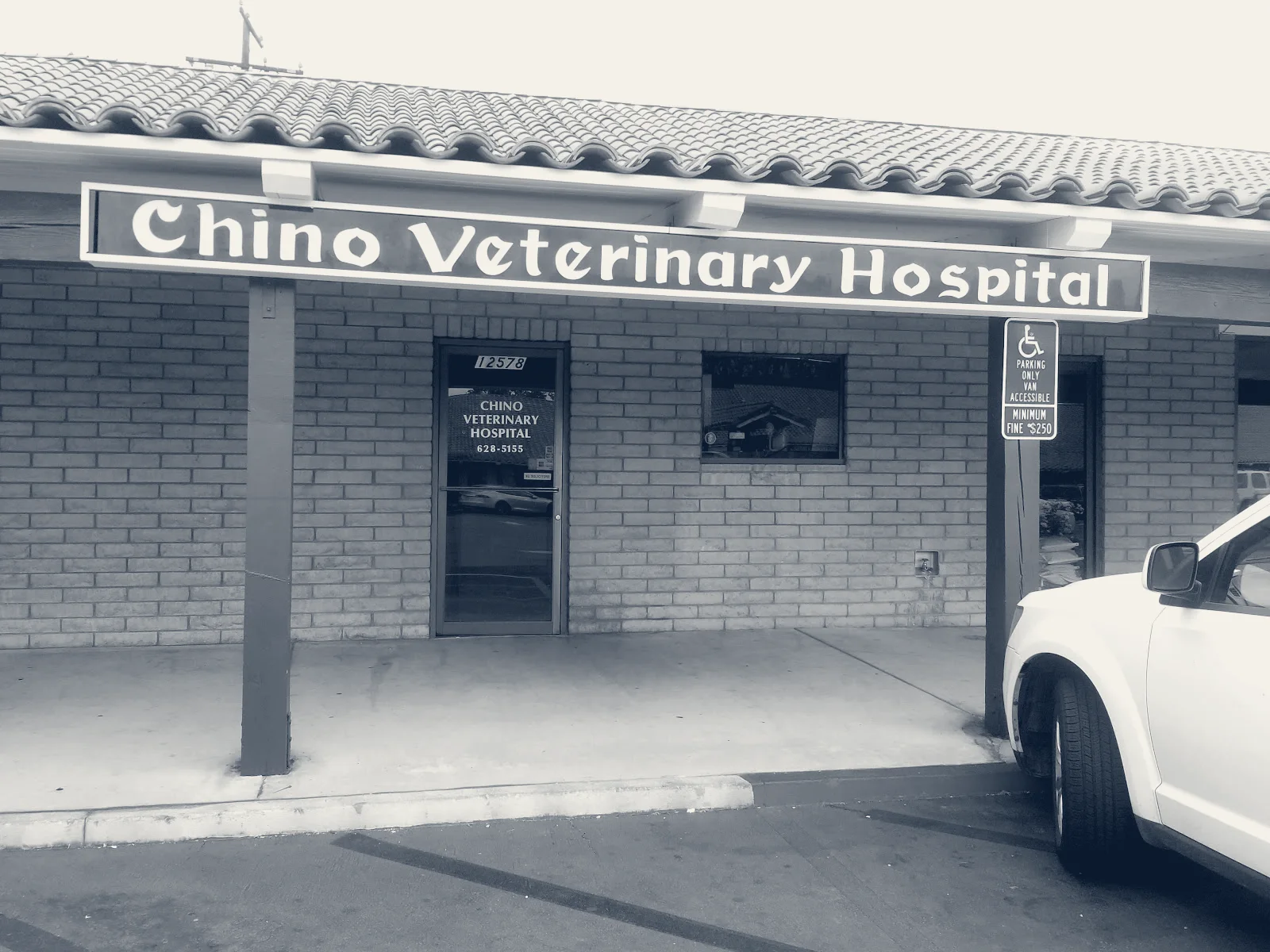 Chino Veterinary Hospital — Chino, California