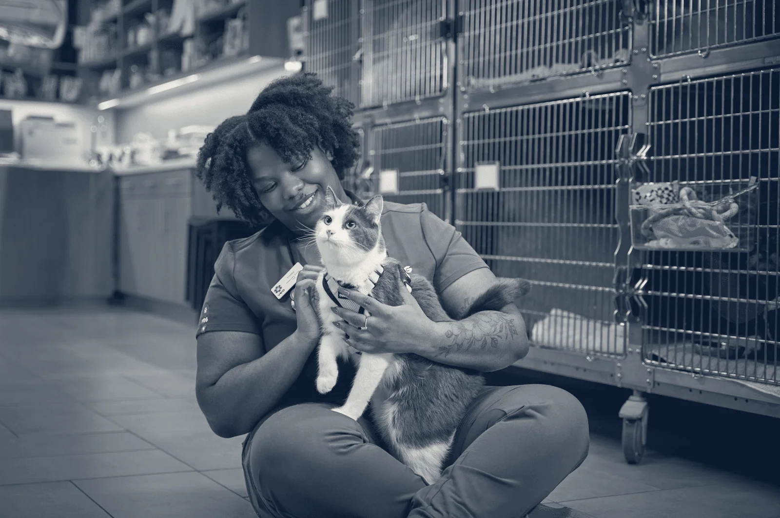 VEG ER for Pets — Costa Mesa, California