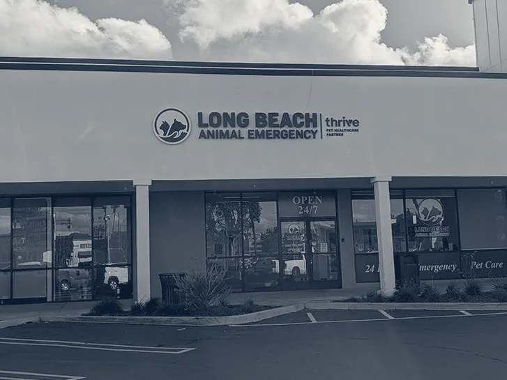 Long Beach Animal Emergency — Long Beach, California