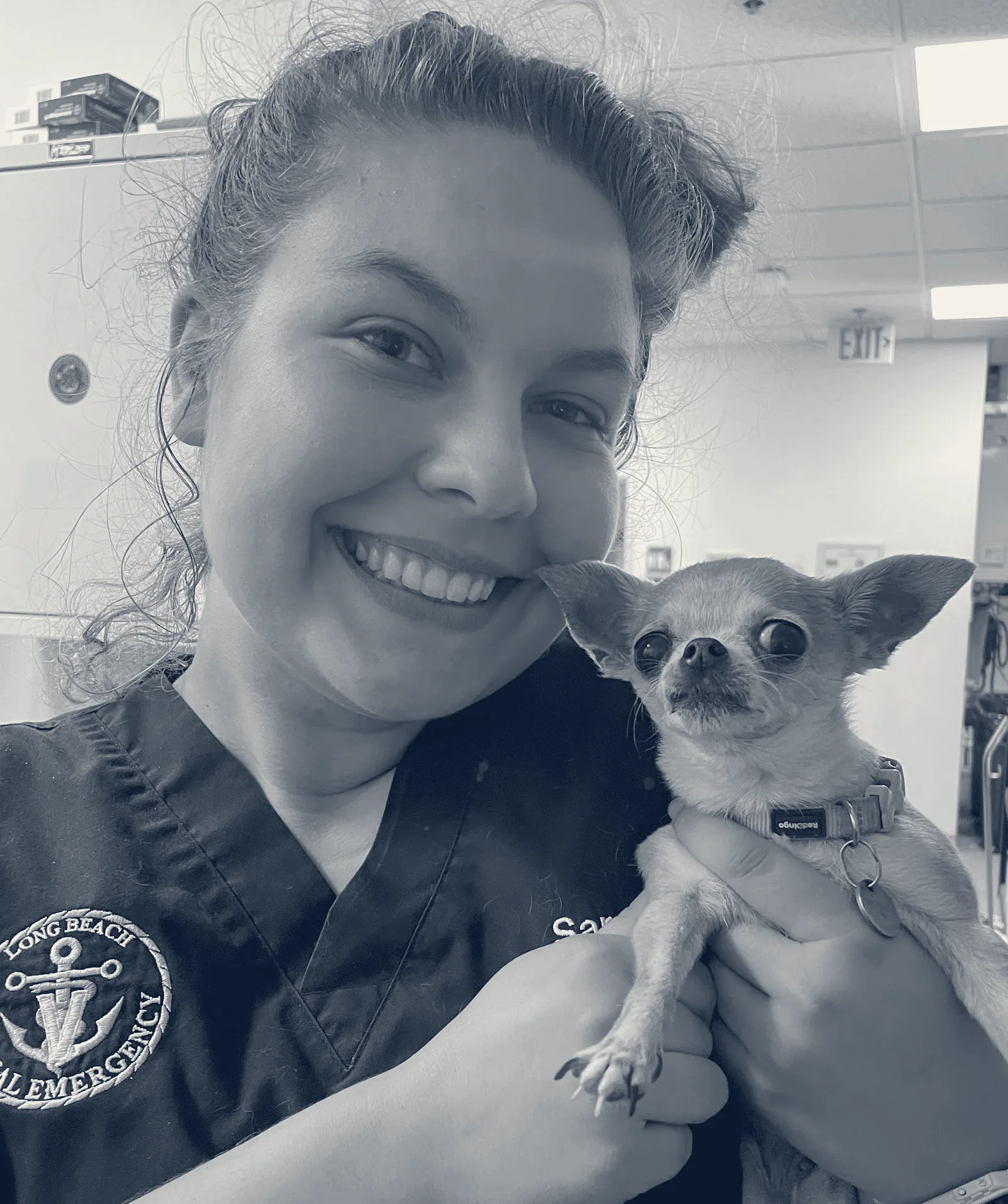 Long Beach Animal Emergency — Long Beach, California