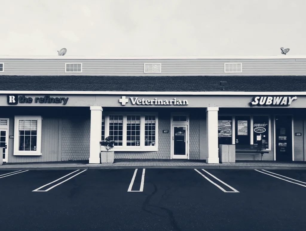 Irvine Valley Veterinary Hospital — Irvine, California