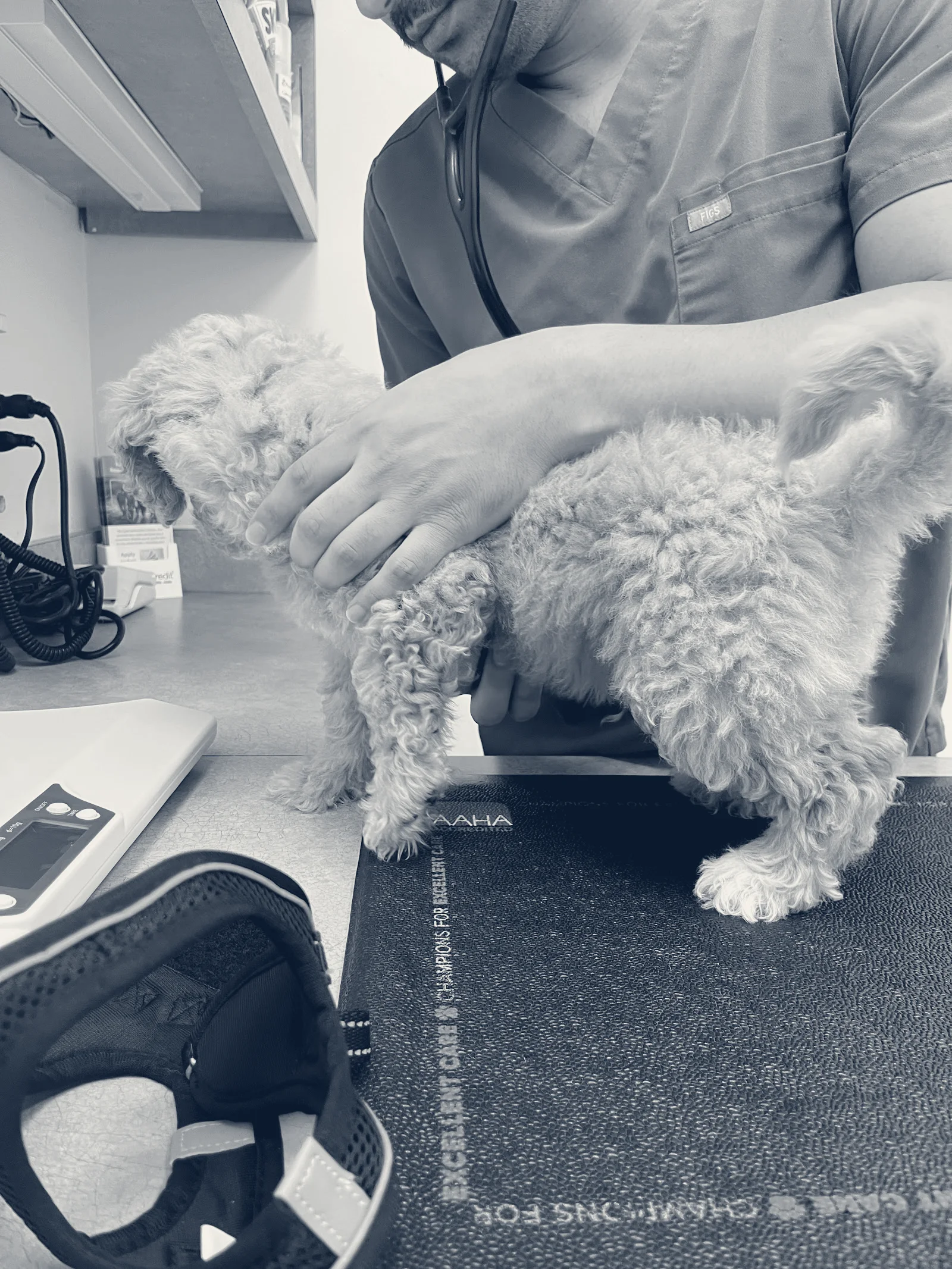 Irvine Valley Veterinary Hospital — Irvine, California