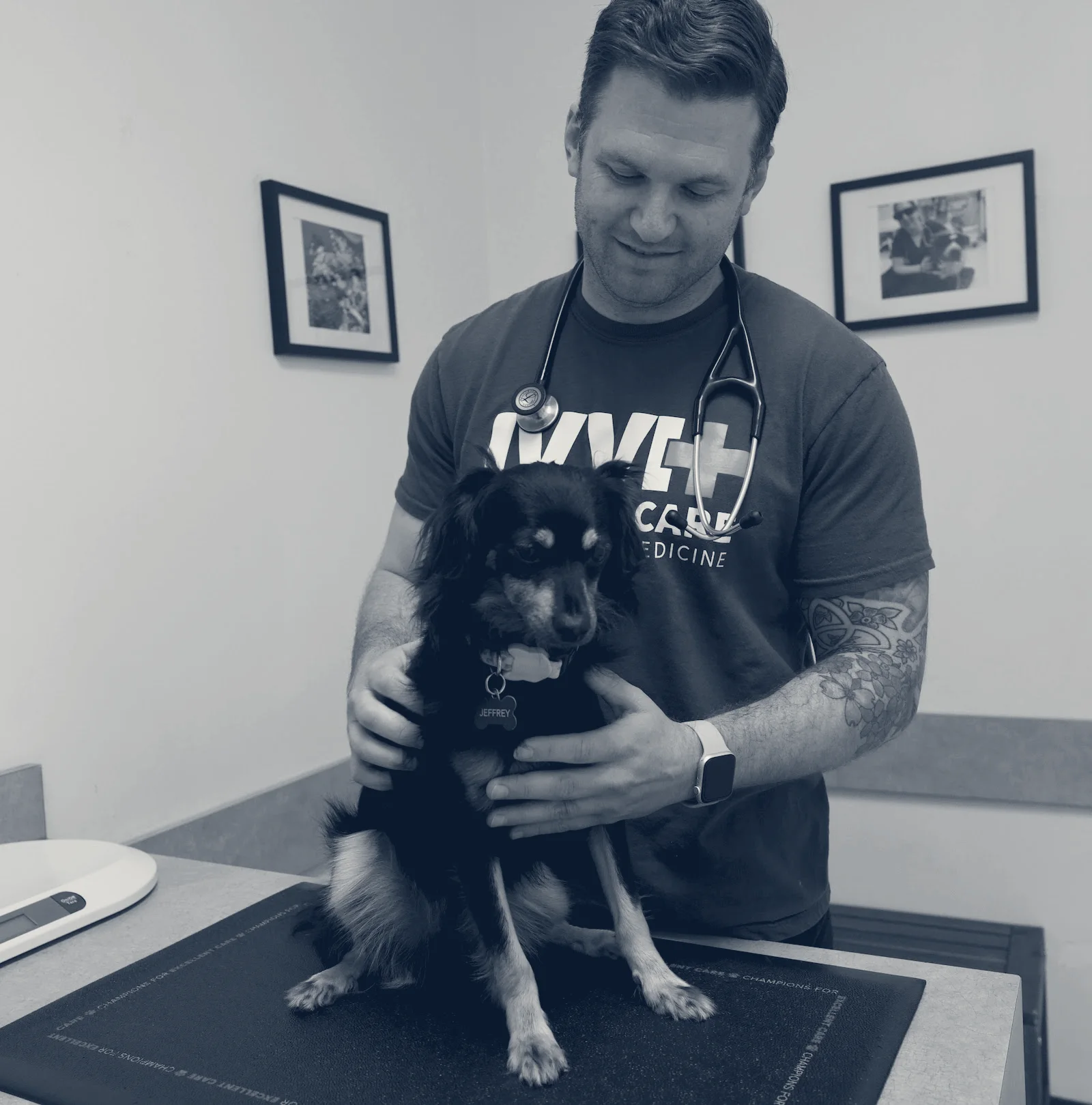 Irvine Valley Veterinary Hospital — Irvine, California
