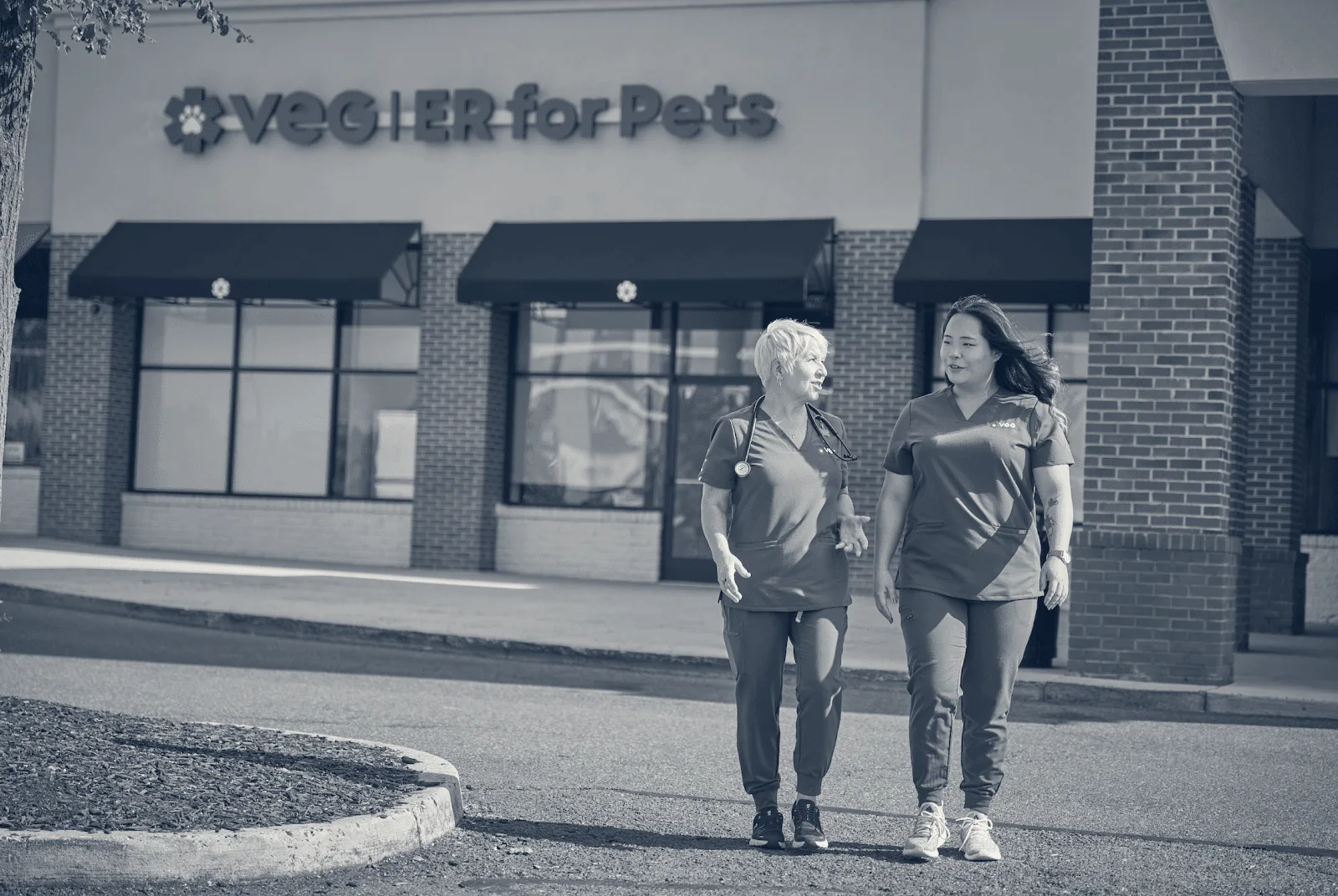 VEG ER for Pets — Torrance, California