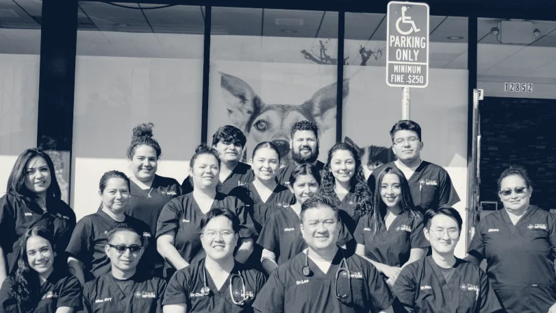 AM PM Ideal Pet Care — Norwalk, California