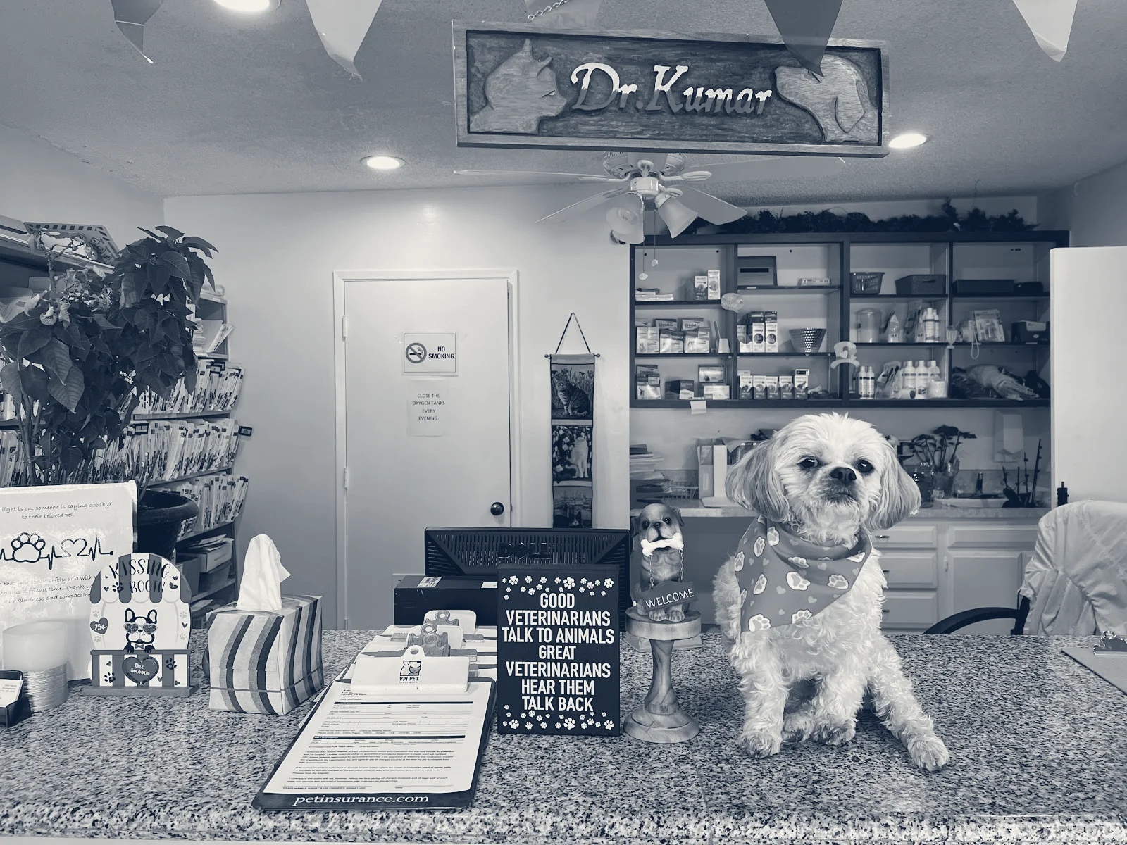 ABC Animal Hospital — Cypress, California