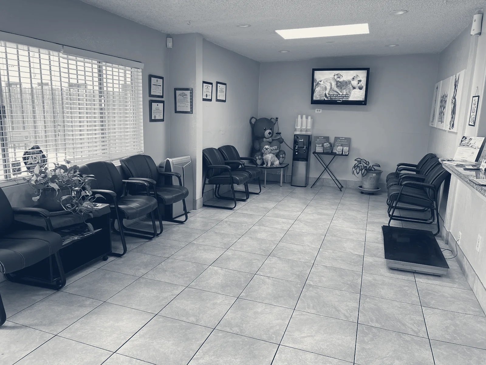 ABC Animal Hospital — Cypress, California
