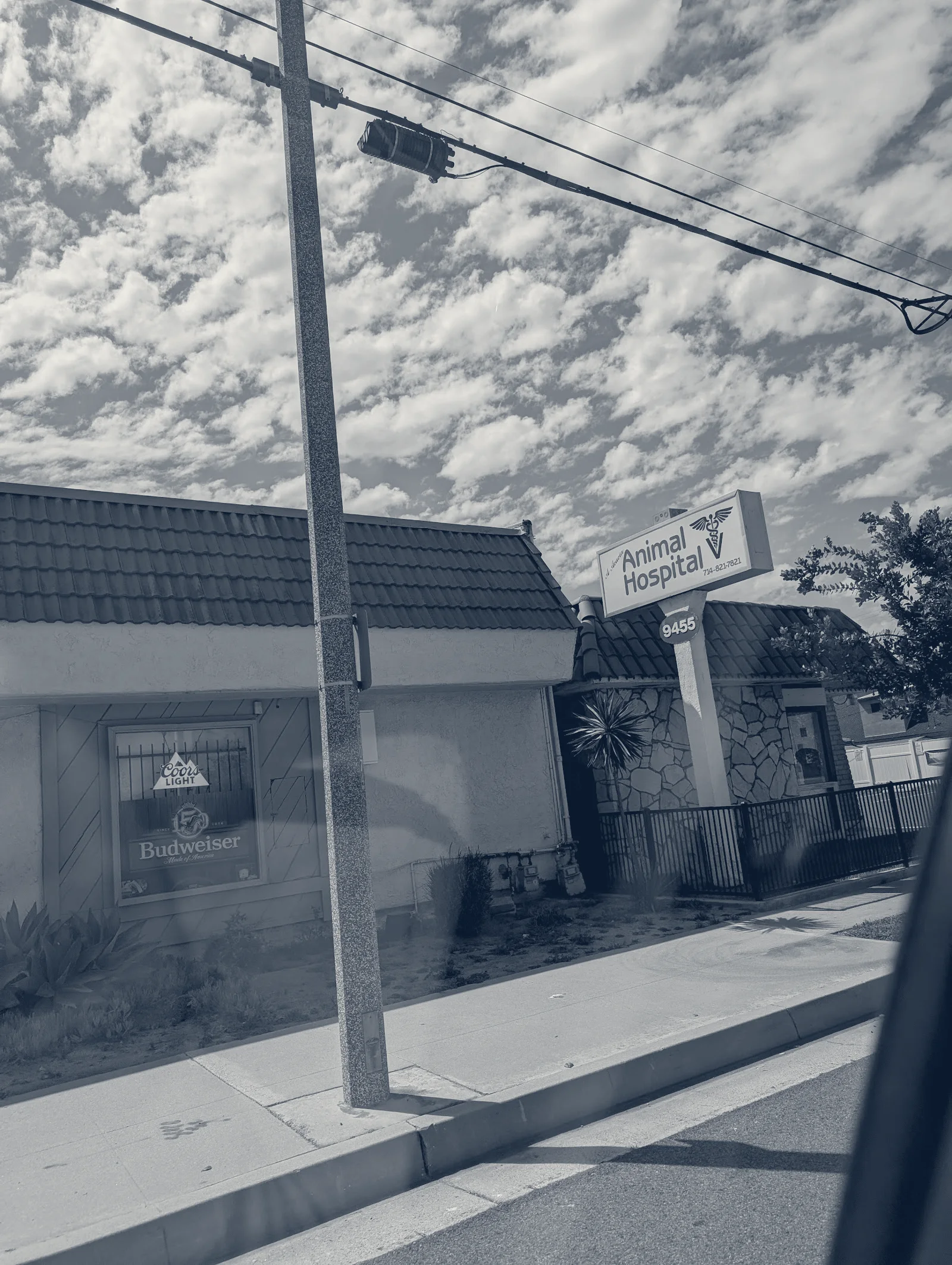 Acacia Animal Hospital — Cypress, California