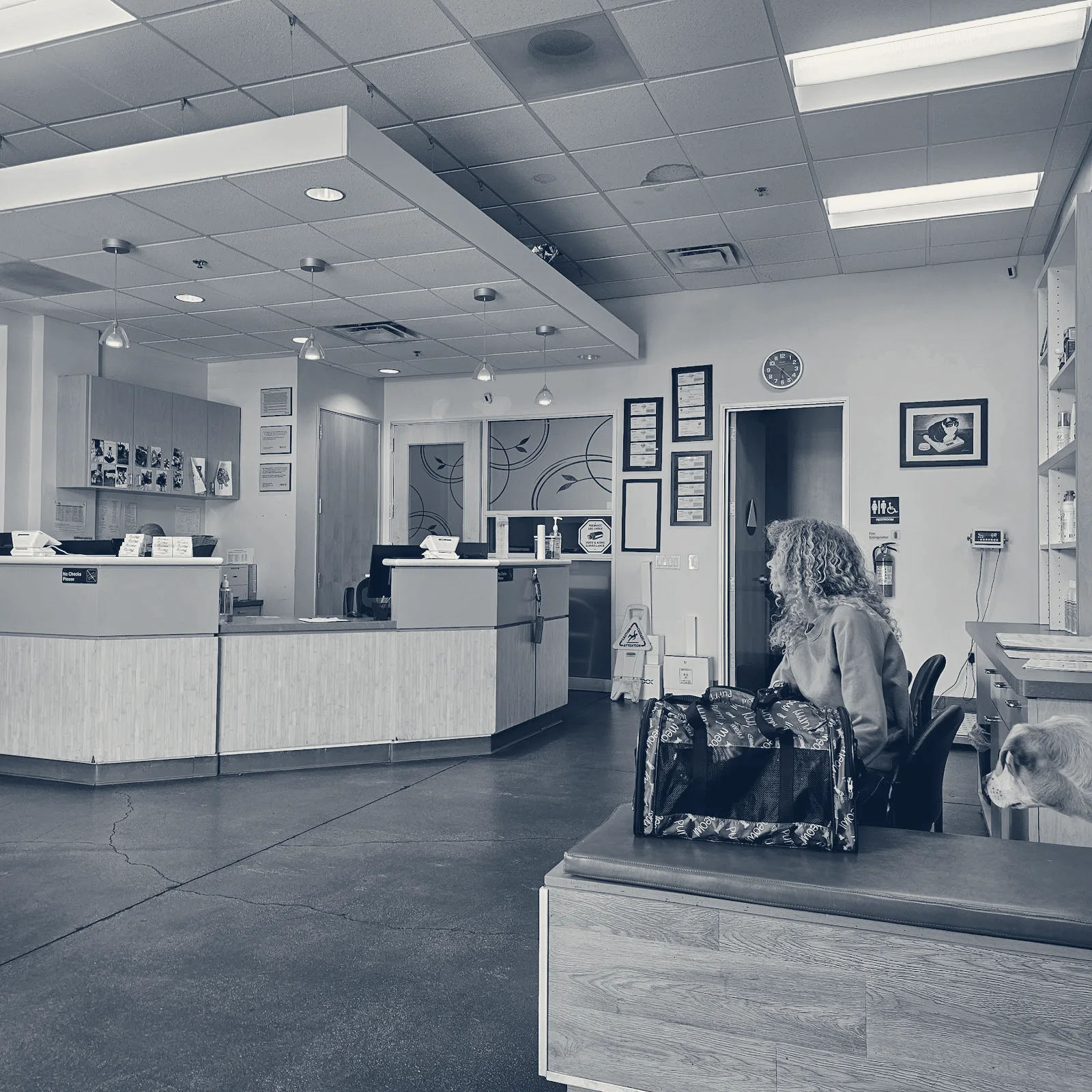 Primary Care Animal Hospital — Long Beach, California