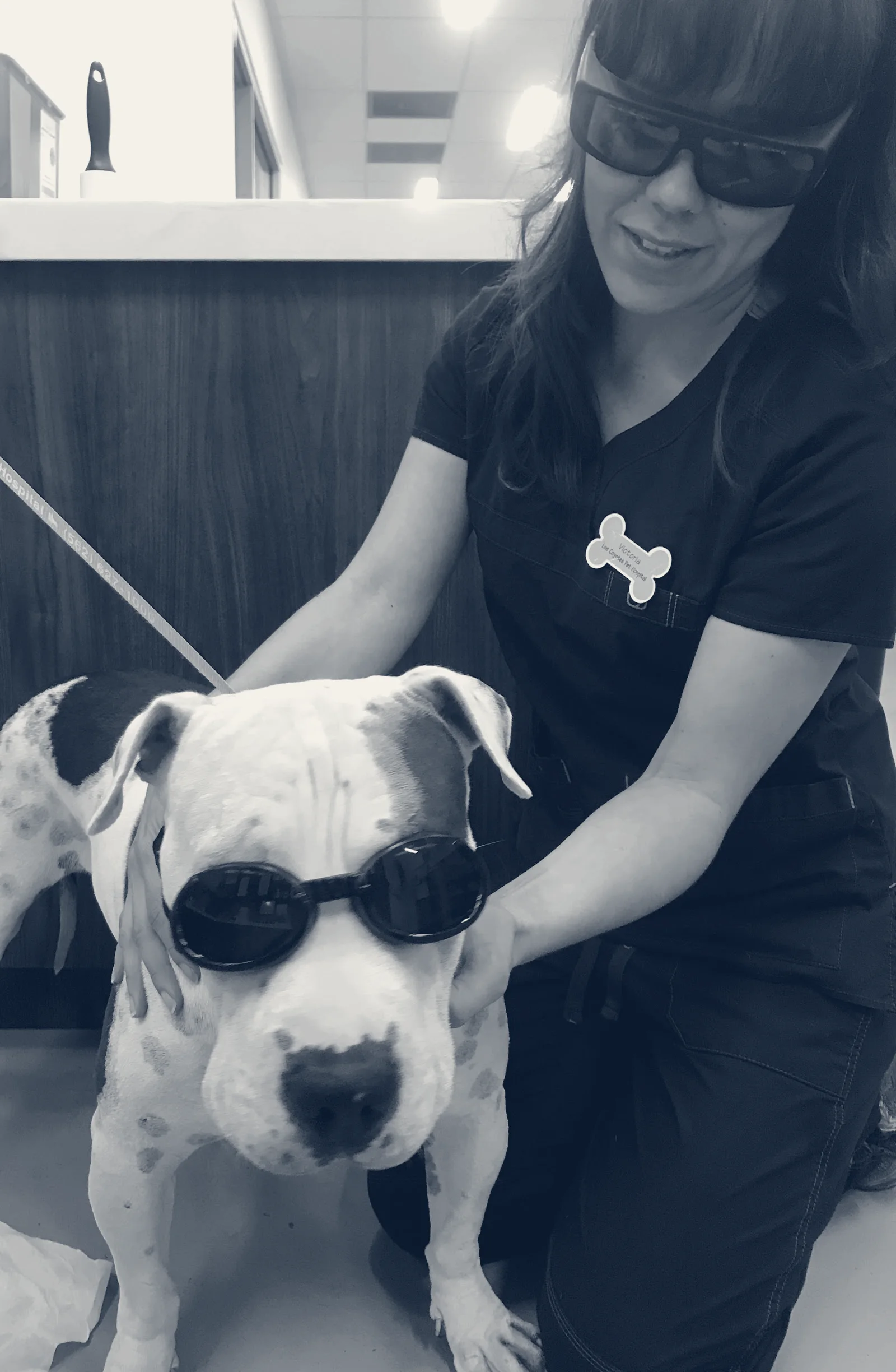Los Coyotes Pet Hospital — Long Beach, California