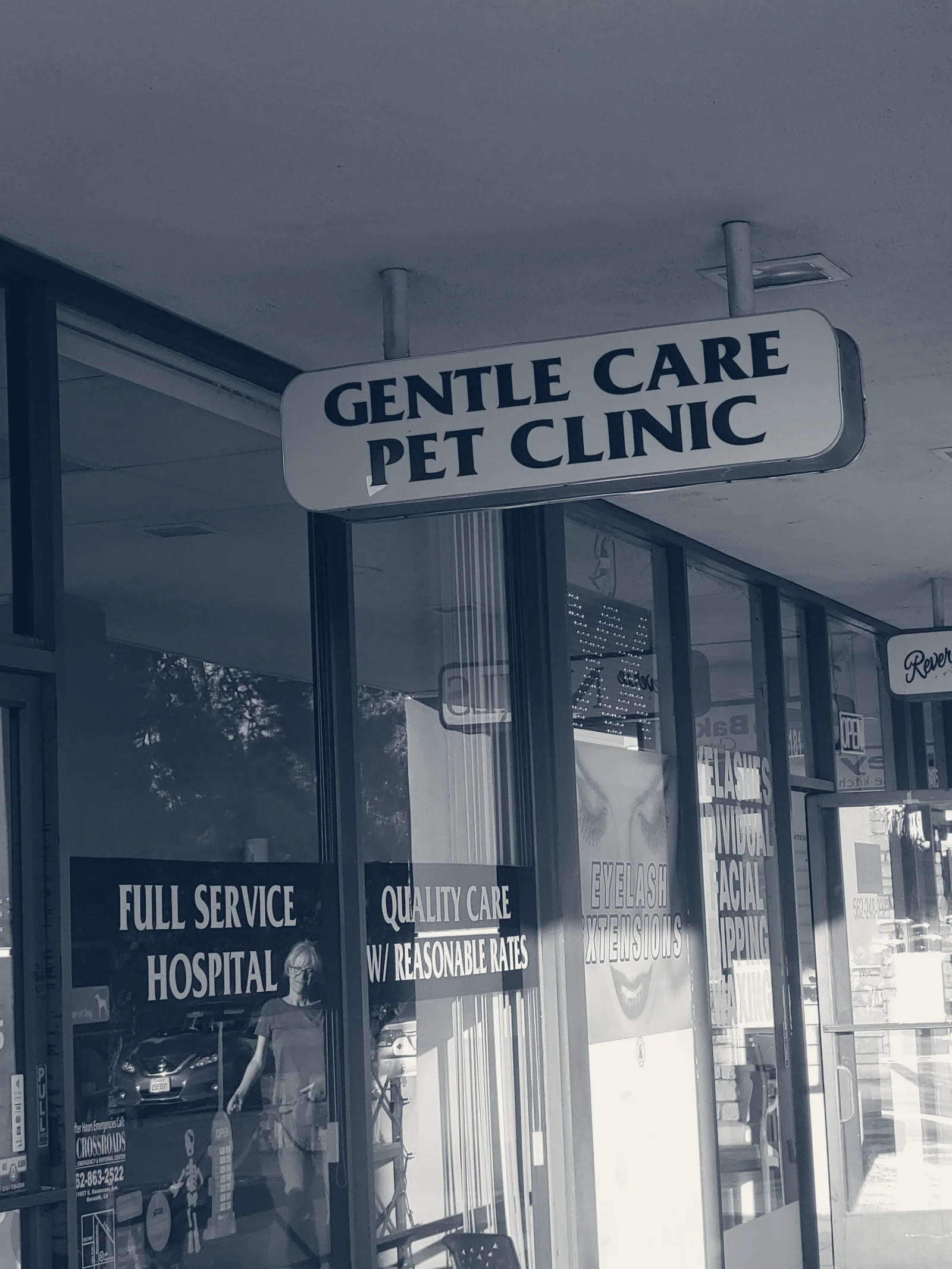 Gentle Care Pet Clinic — Long Beach, California