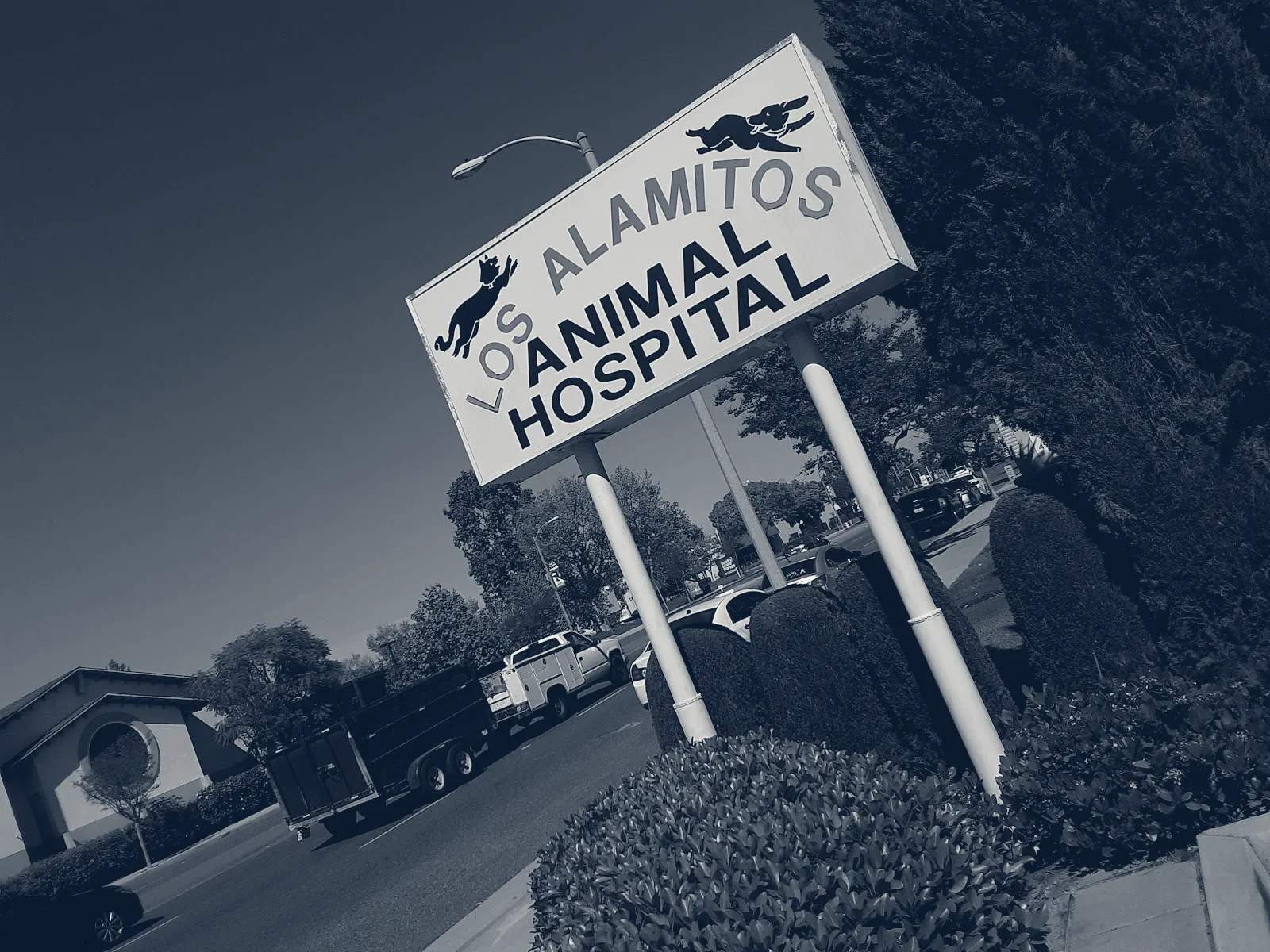 Los Alamitos Animal Hospital — Seal Beach, California