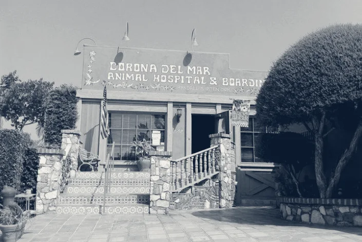 Corona del Mar Animal Hospital — Corona Del Mar, California