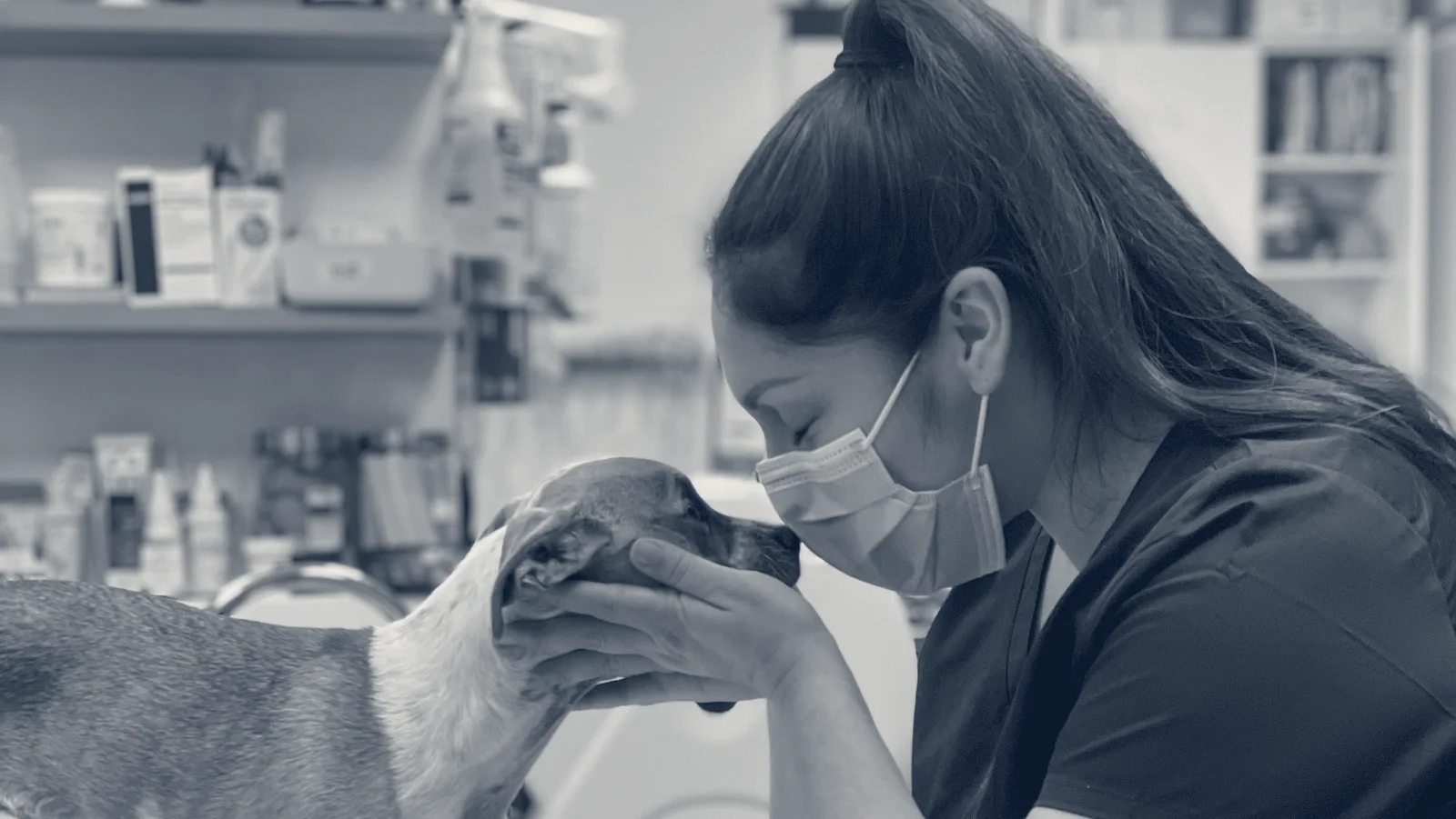 Corona Animal Emergency Center — Corona, California