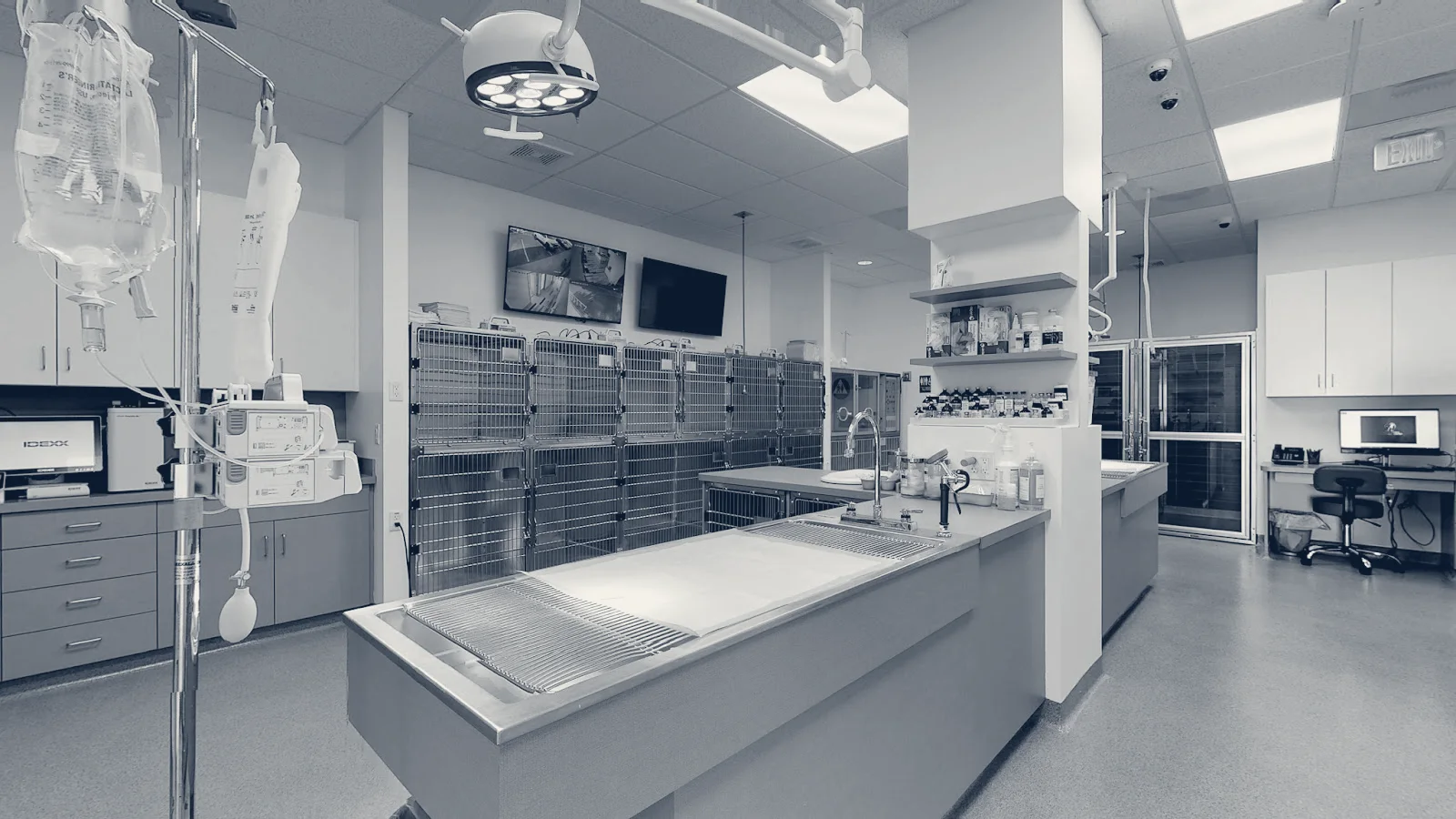 Corona Animal Emergency Center — Corona, California