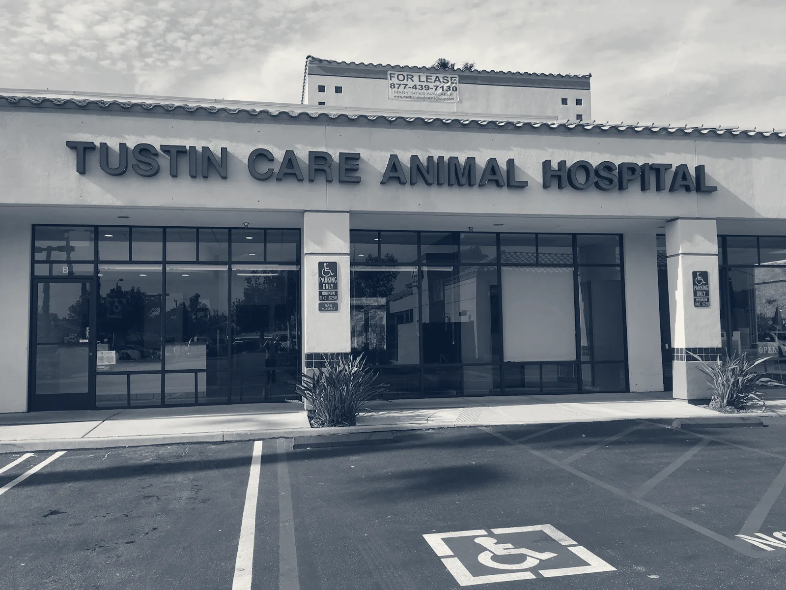 Tustin Care Animal Hospital — Tustin, California