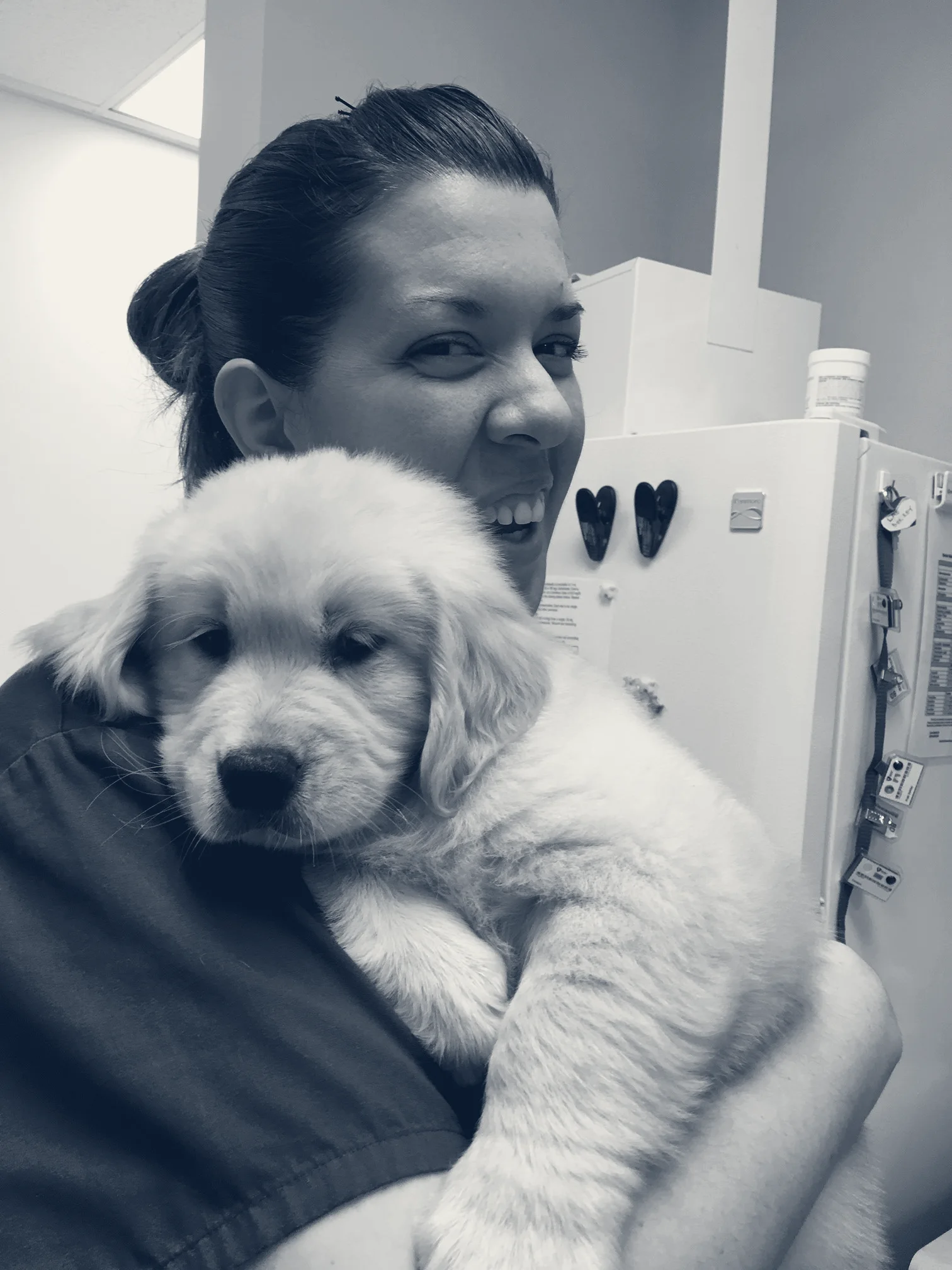 Tustin Care Animal Hospital — Tustin, California