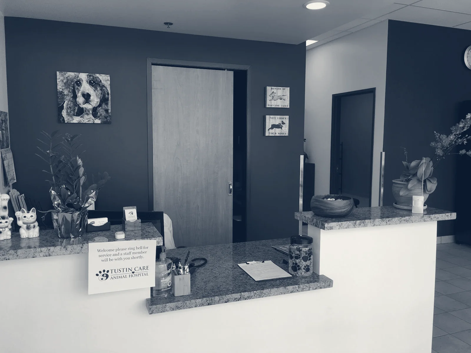 Tustin Care Animal Hospital — Tustin, California