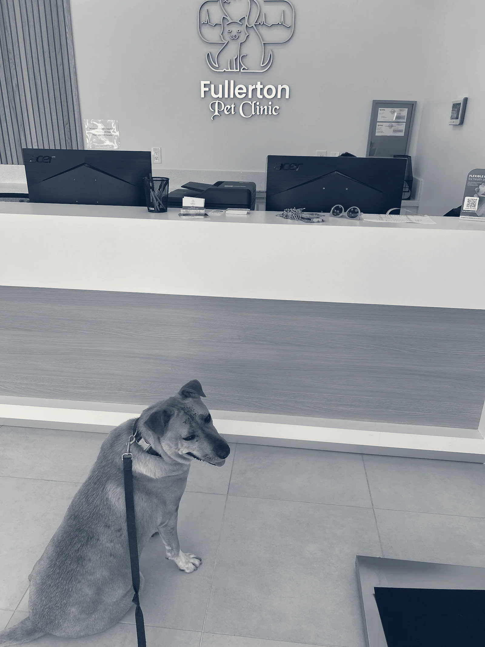 Fullerton Pet Clinic — Fullerton, California