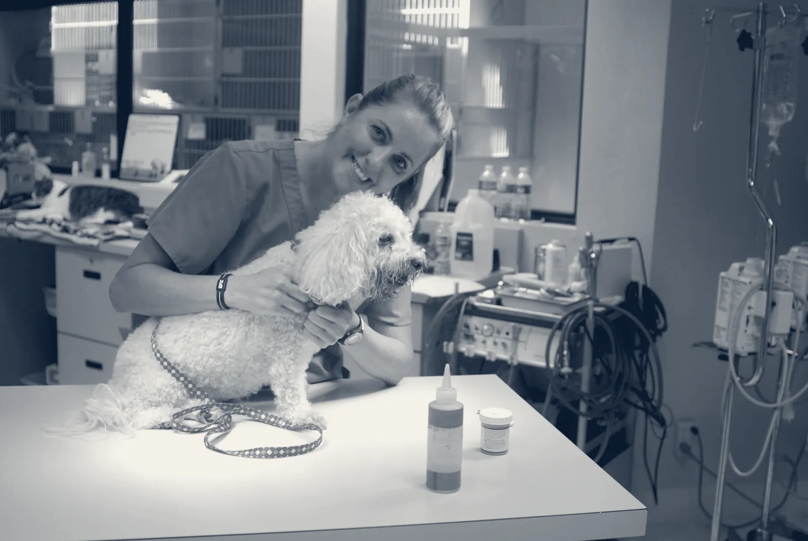 Sunnycrest Animal Care Center — Fullerton, California